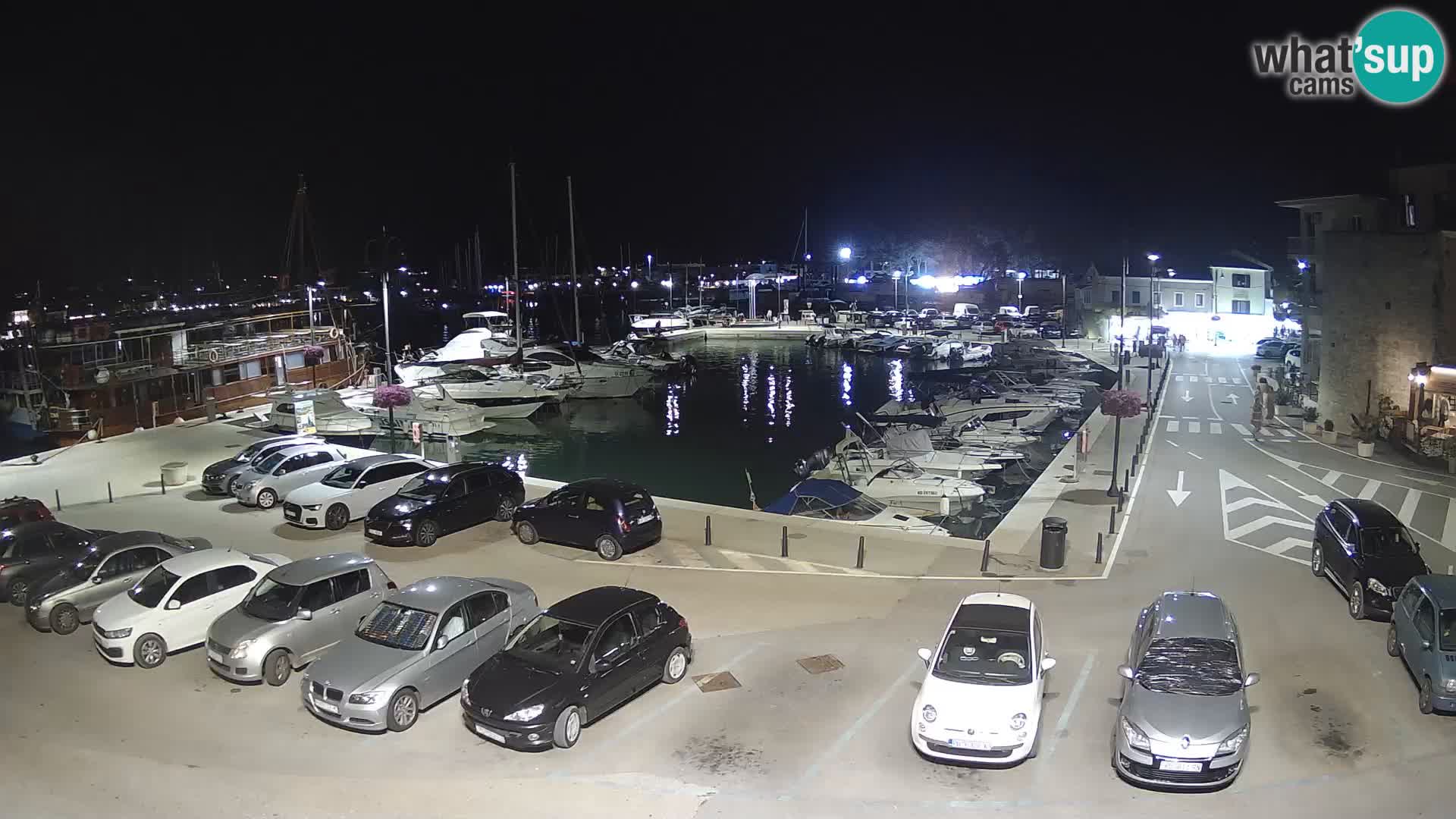 Novigrad | Porporela marina