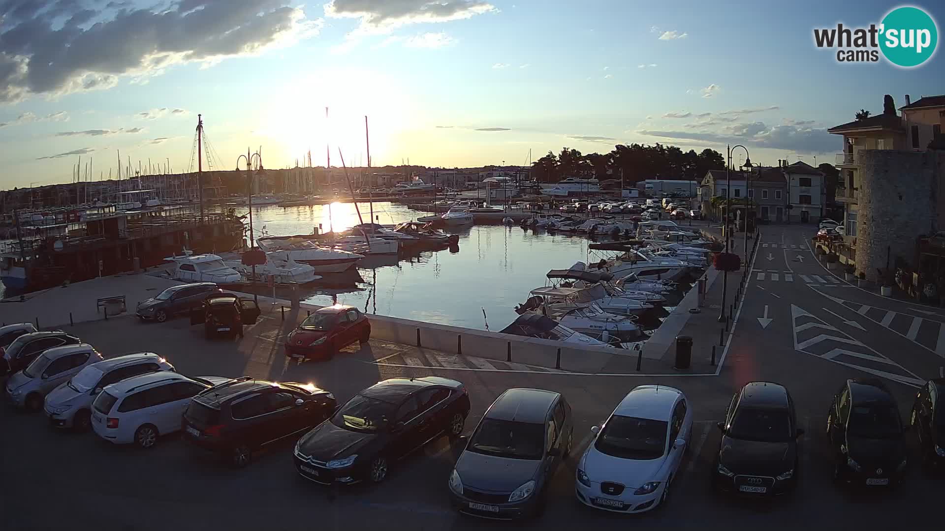 Novigrad | Porporela marina