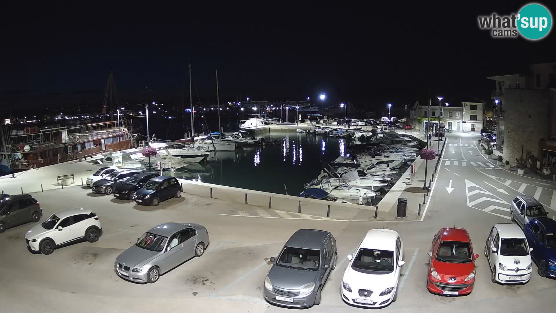Novigrad | Porporela marina