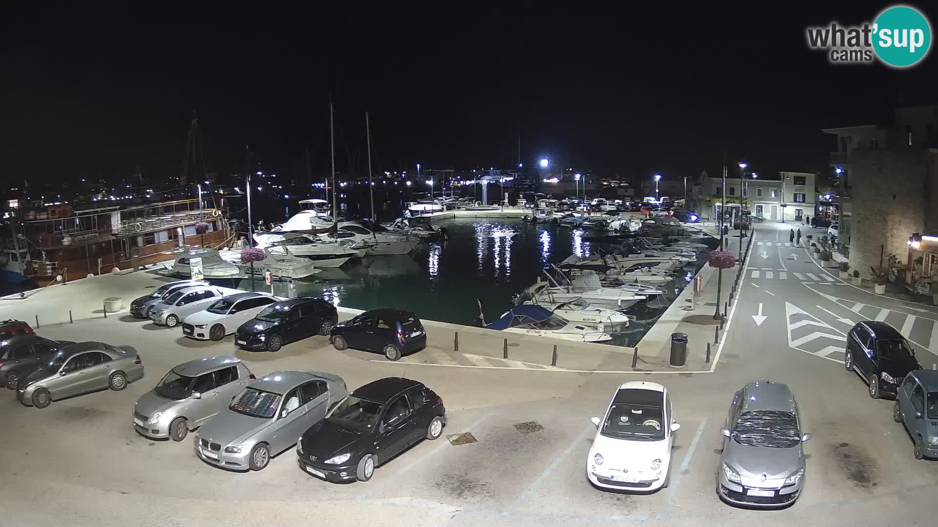 Novigrad | Porporela marina