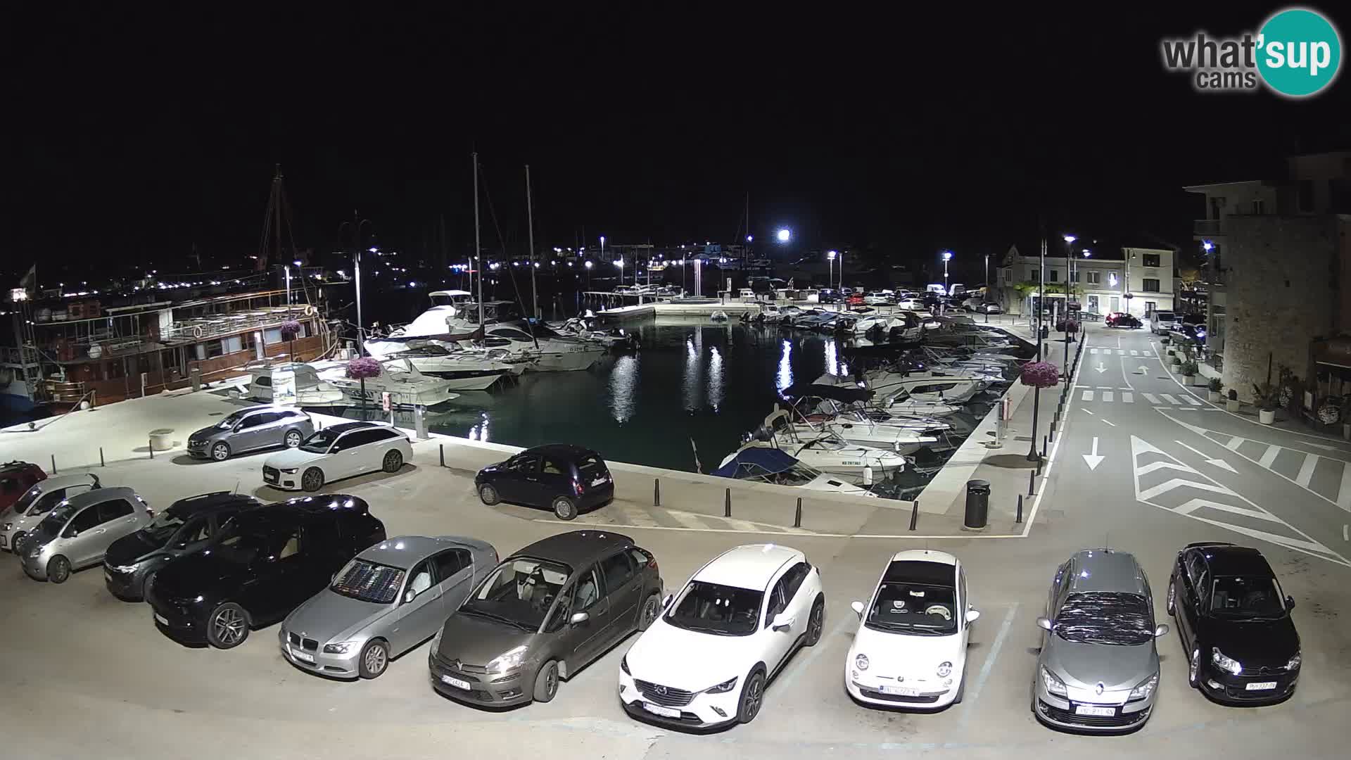 Novigrad | Porporela marina