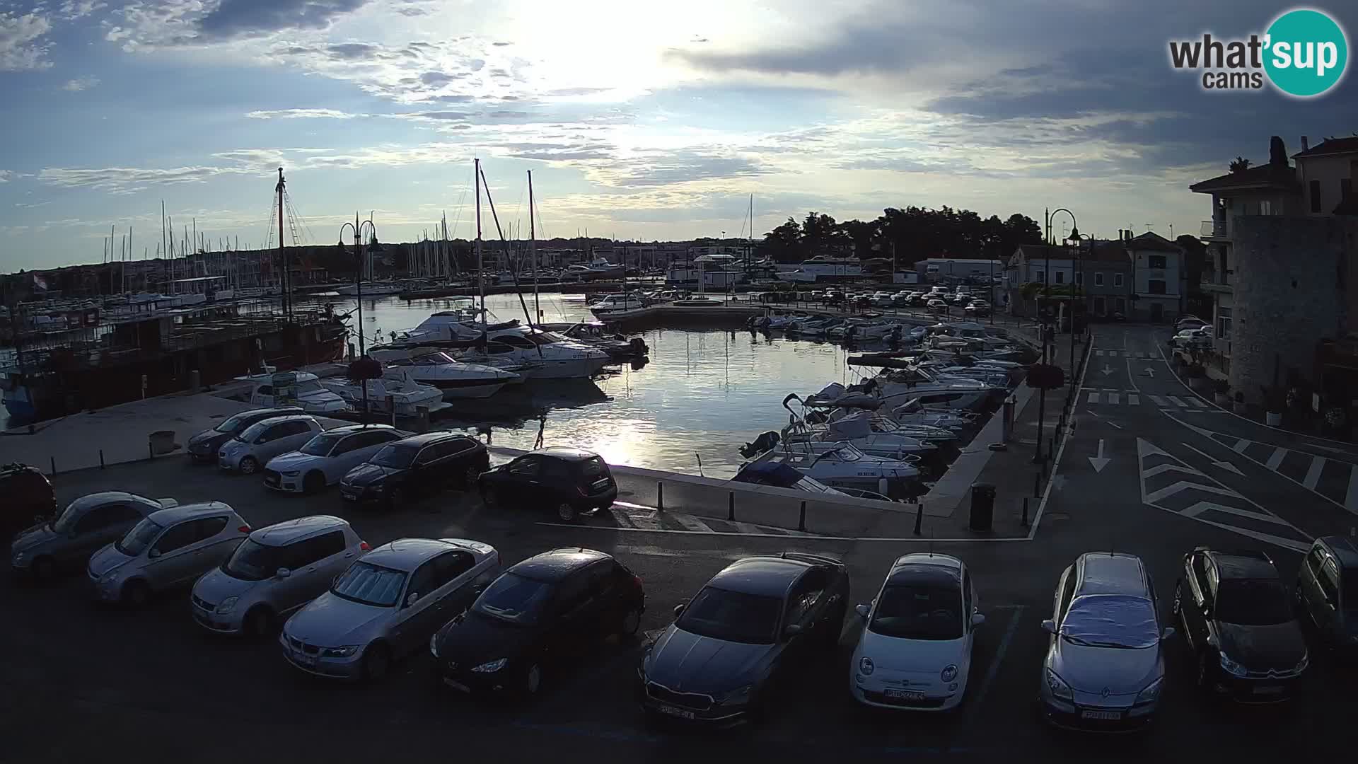 Novigrad | Porporela marina