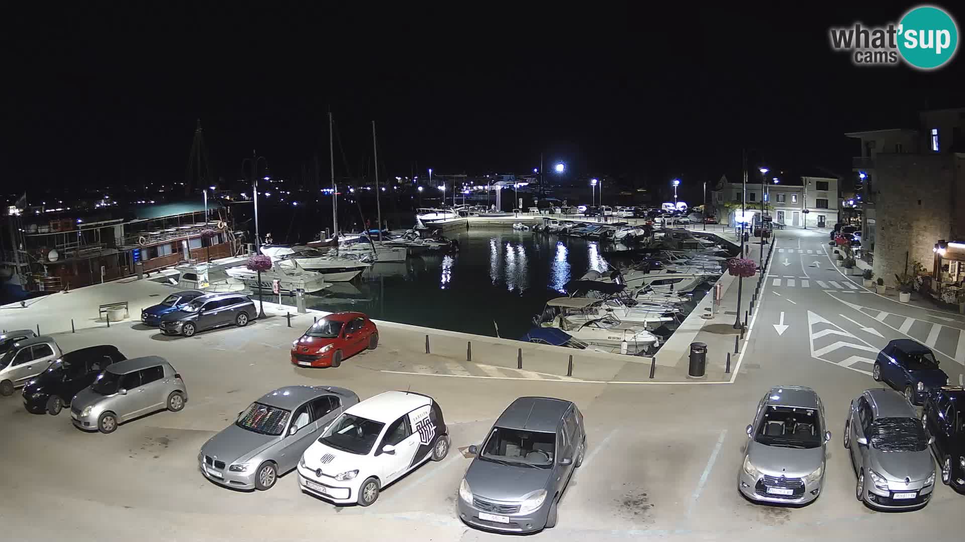 Novigrad | Porporela marina