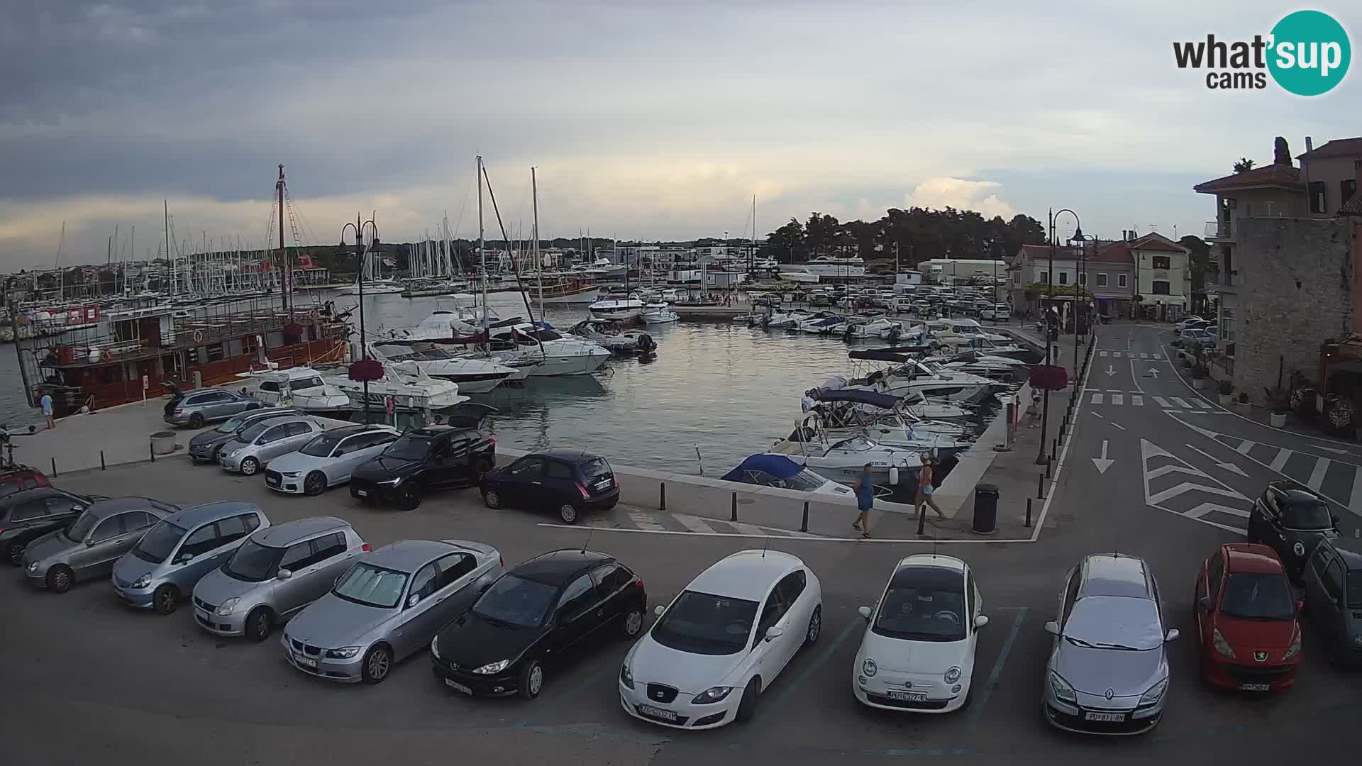 Novigrad | Porporela marina