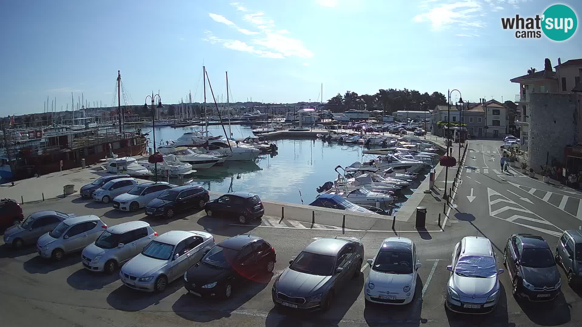 Novigrad | Porporela marina