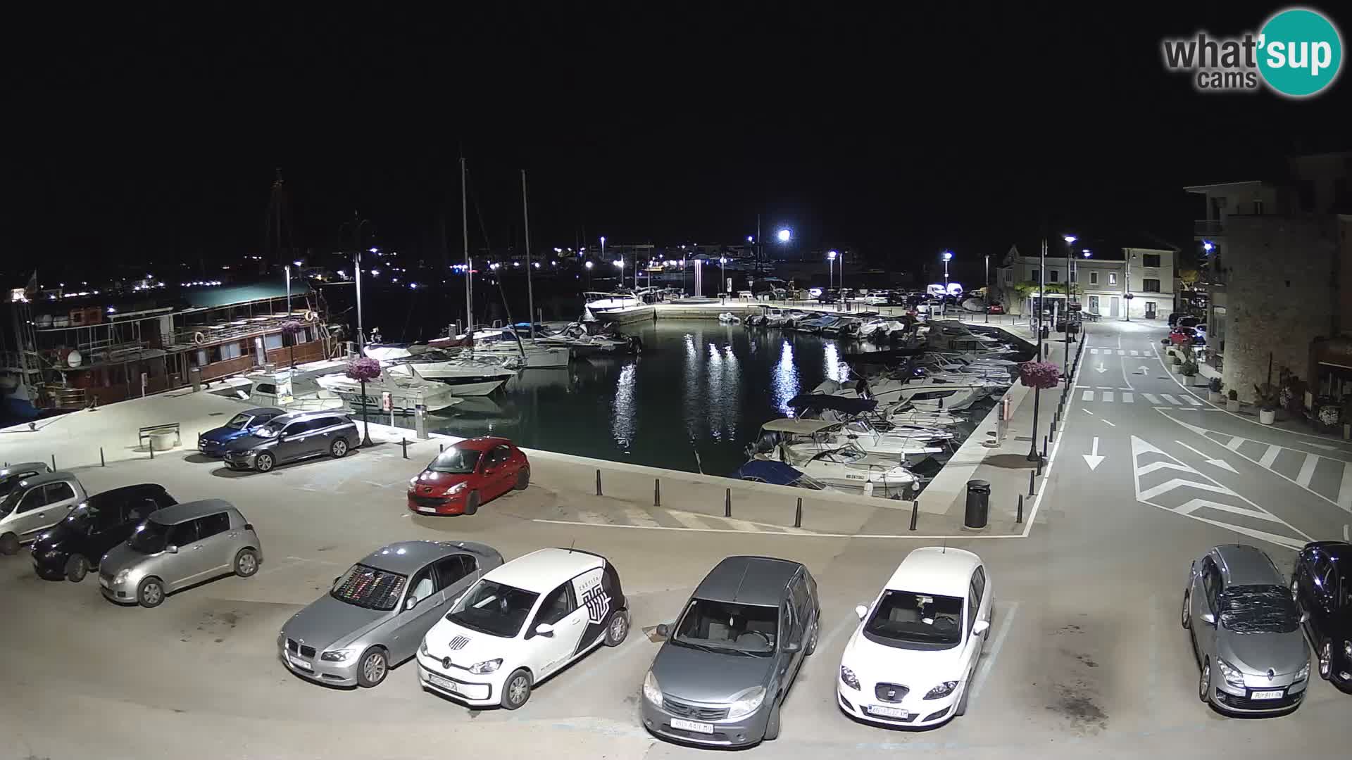 Novigrad | Porporela marina