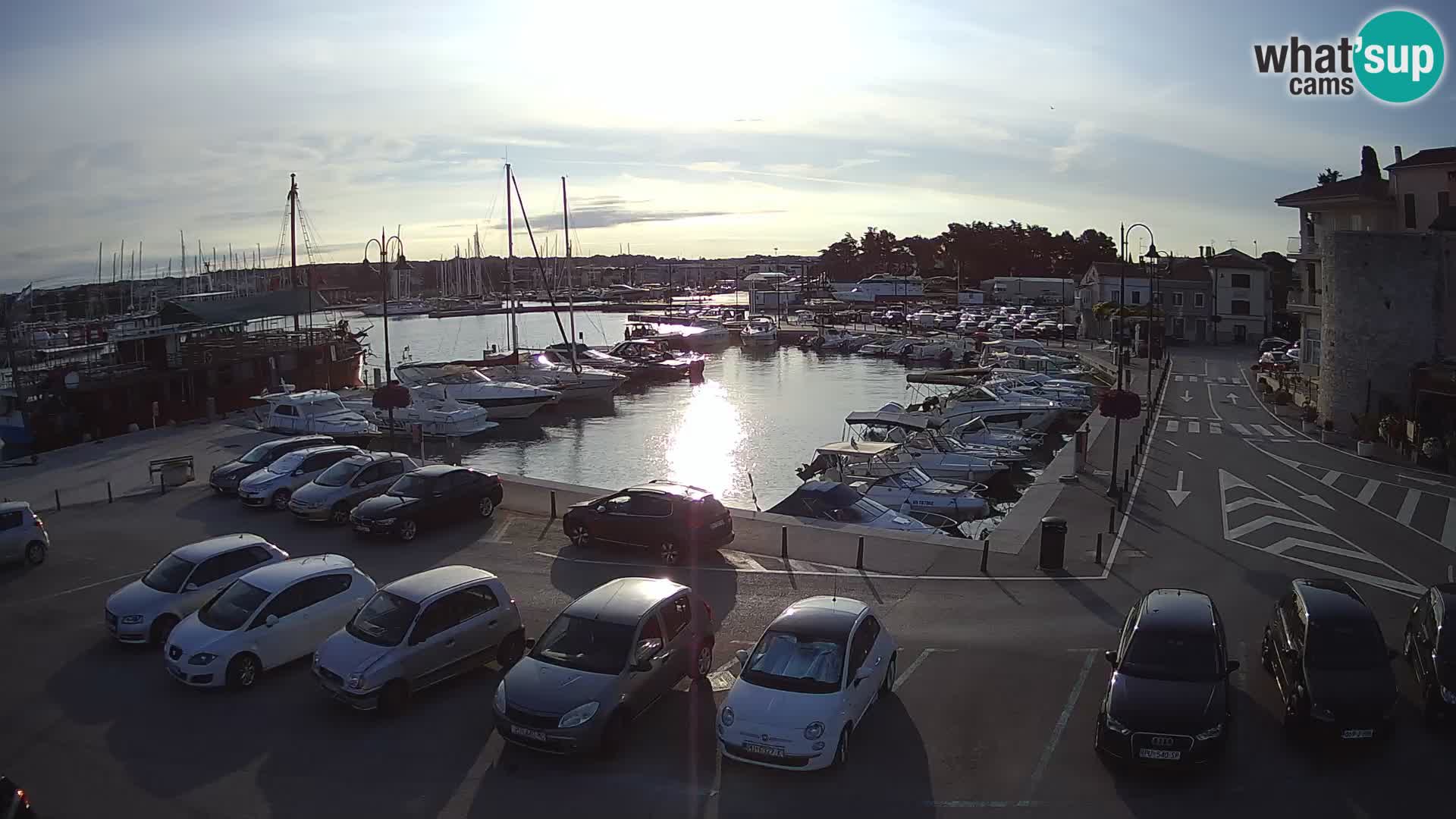 Novigrad | Porporela marina
