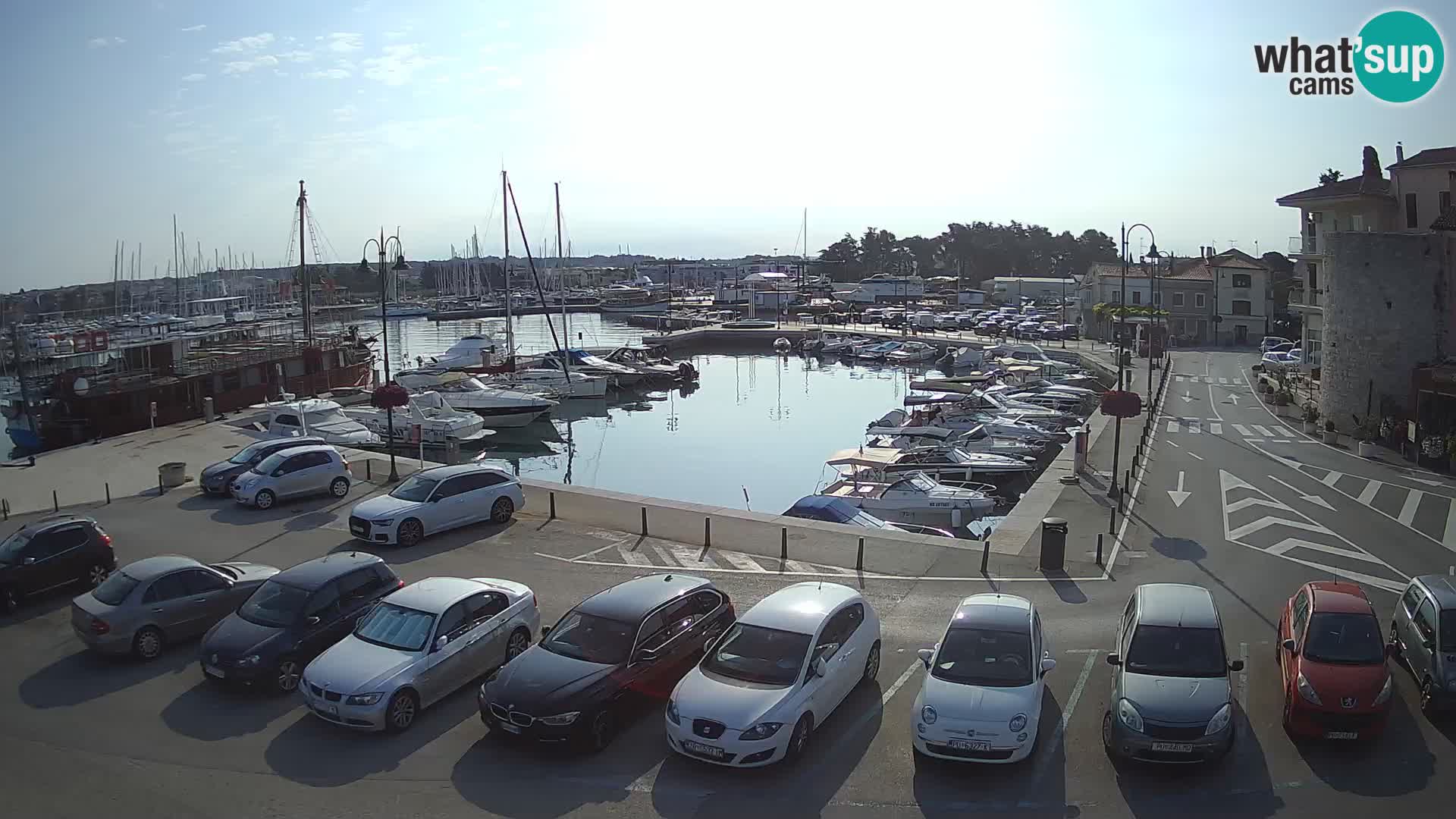 Novigrad | Porporela marina