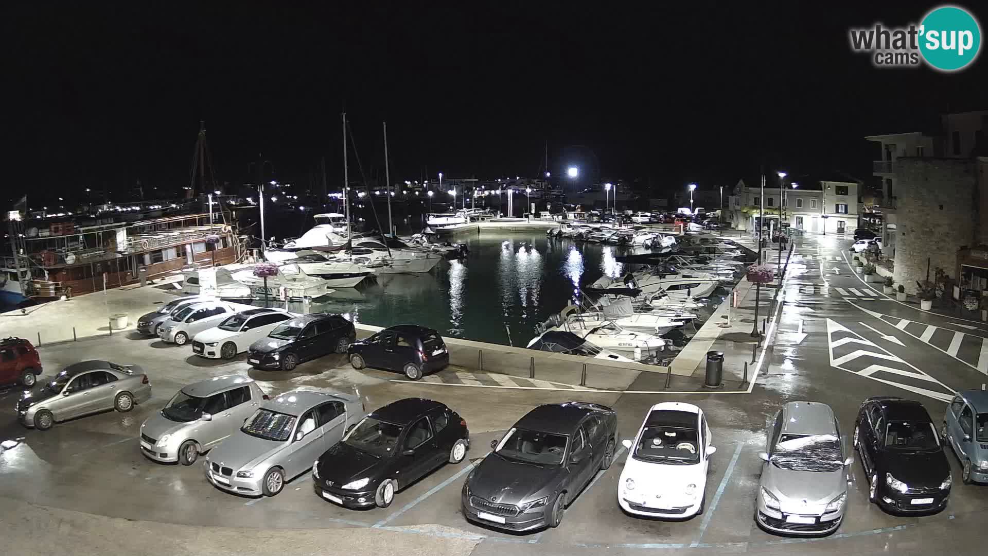 Novigrad | Porporela marina