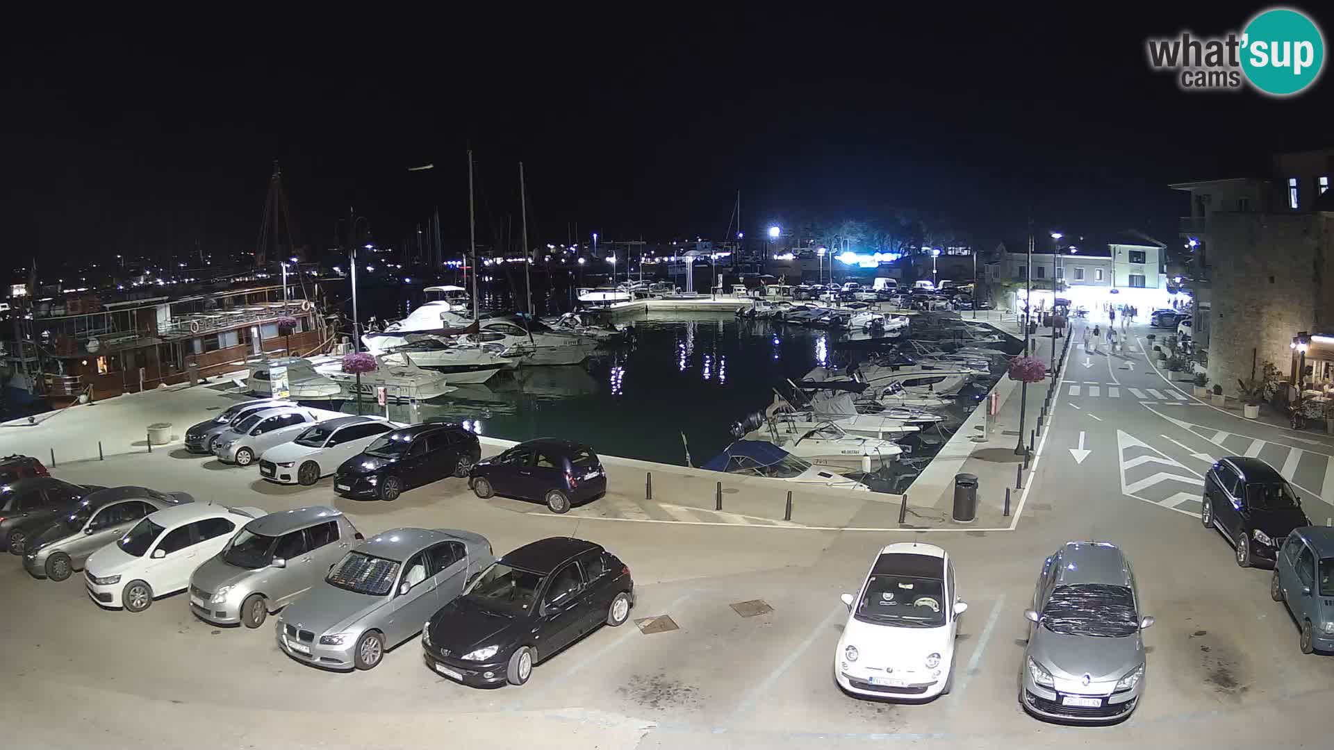 Novigrad | Porporela marina