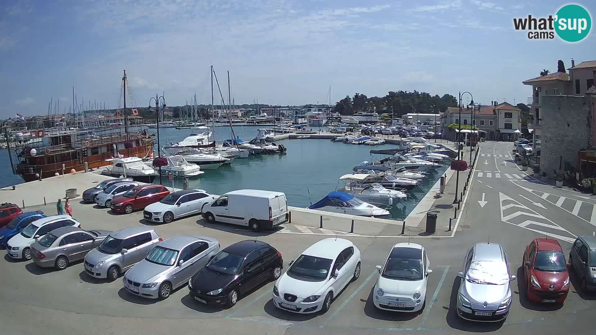 Novigrad | Porporela marina