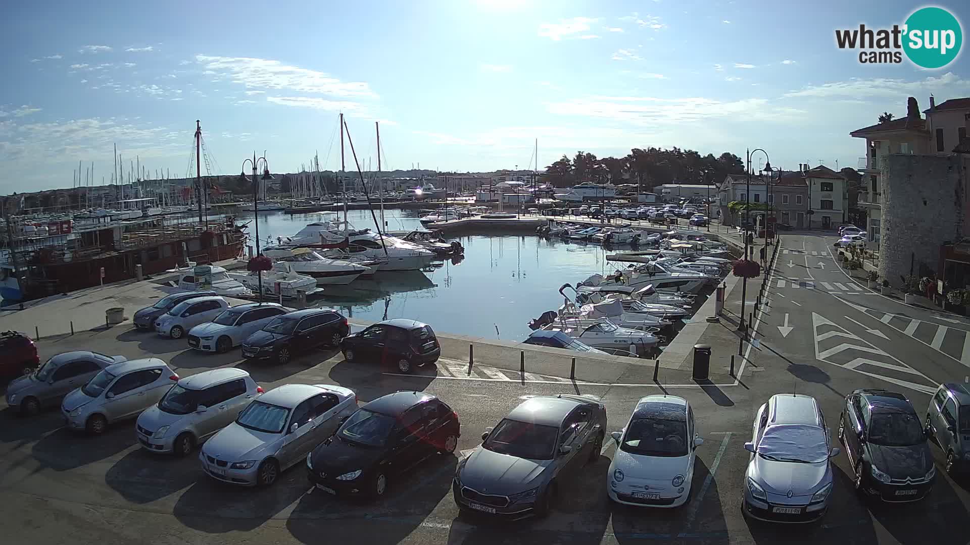 Novigrad | Porporela marina