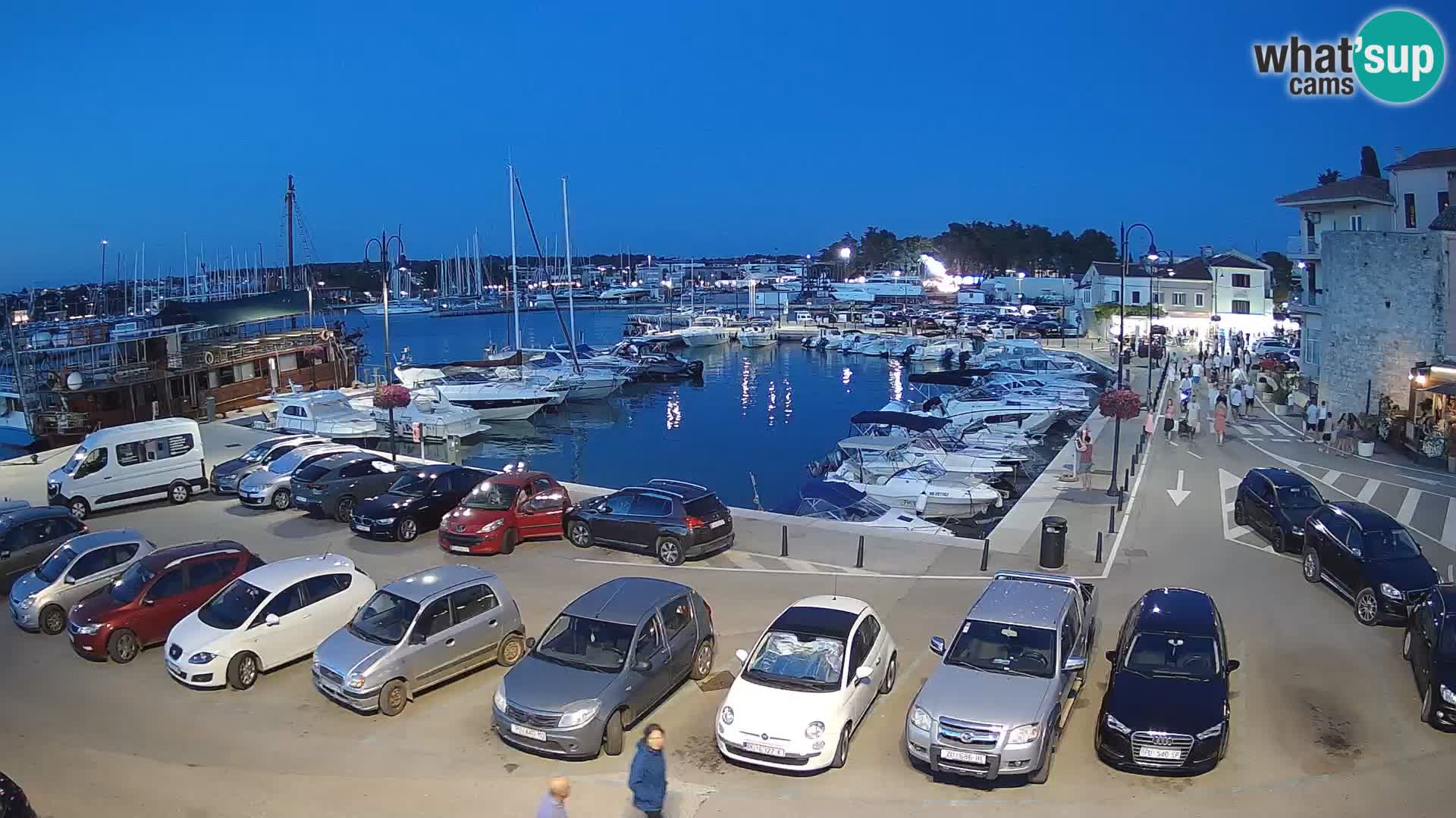 Novigrad | Porporela marina