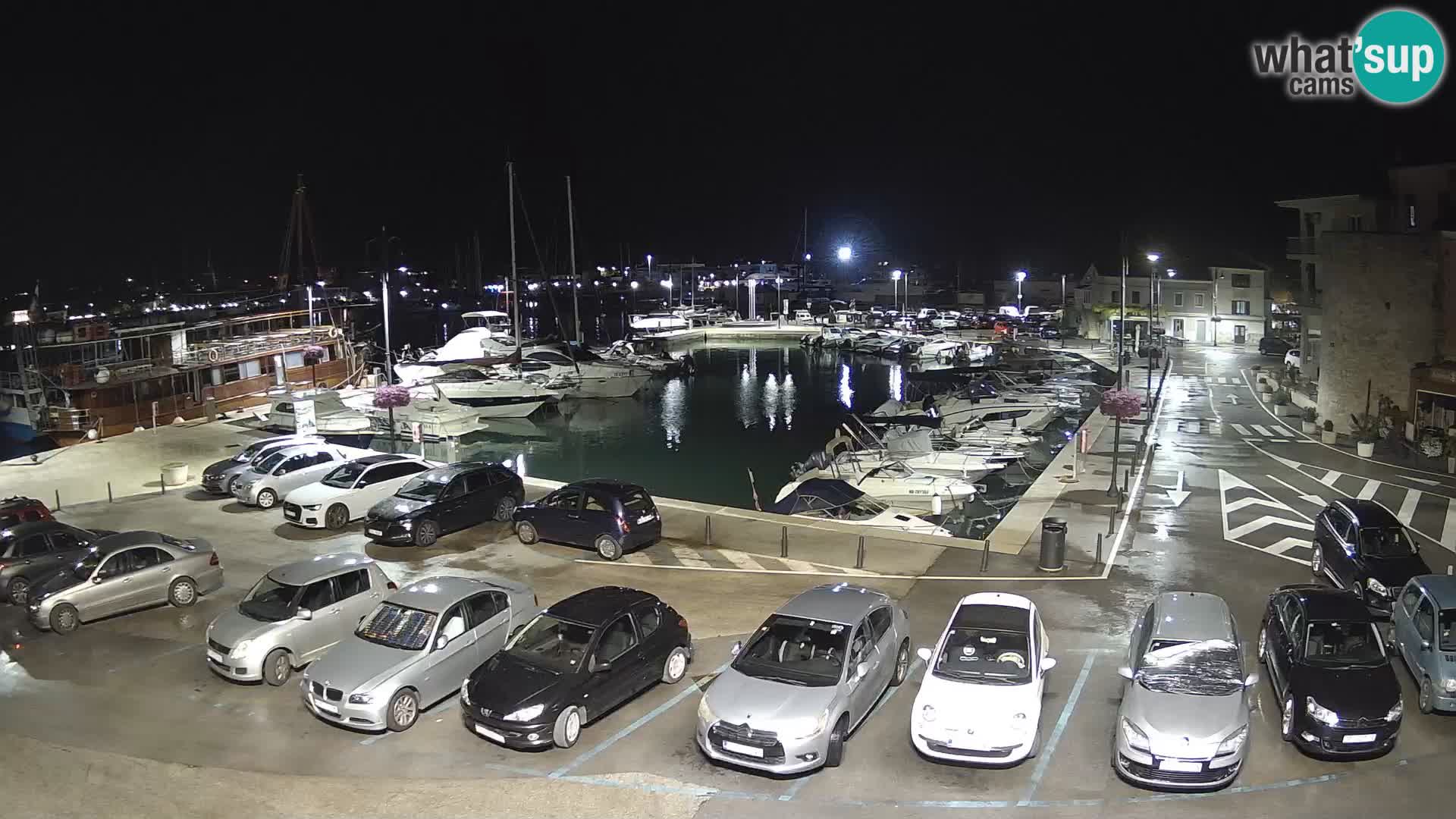 Novigrad | Porporela marina