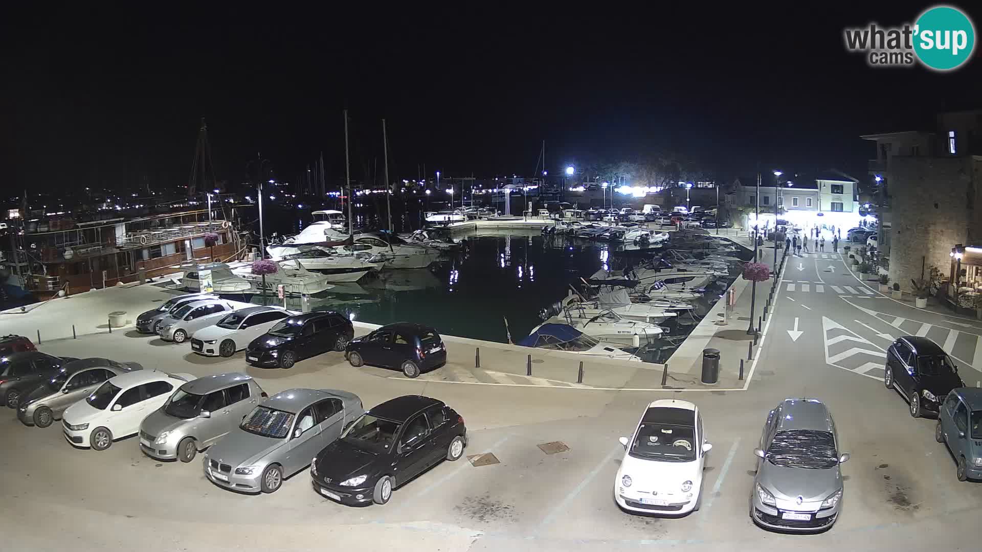 Novigrad | Porporela marina