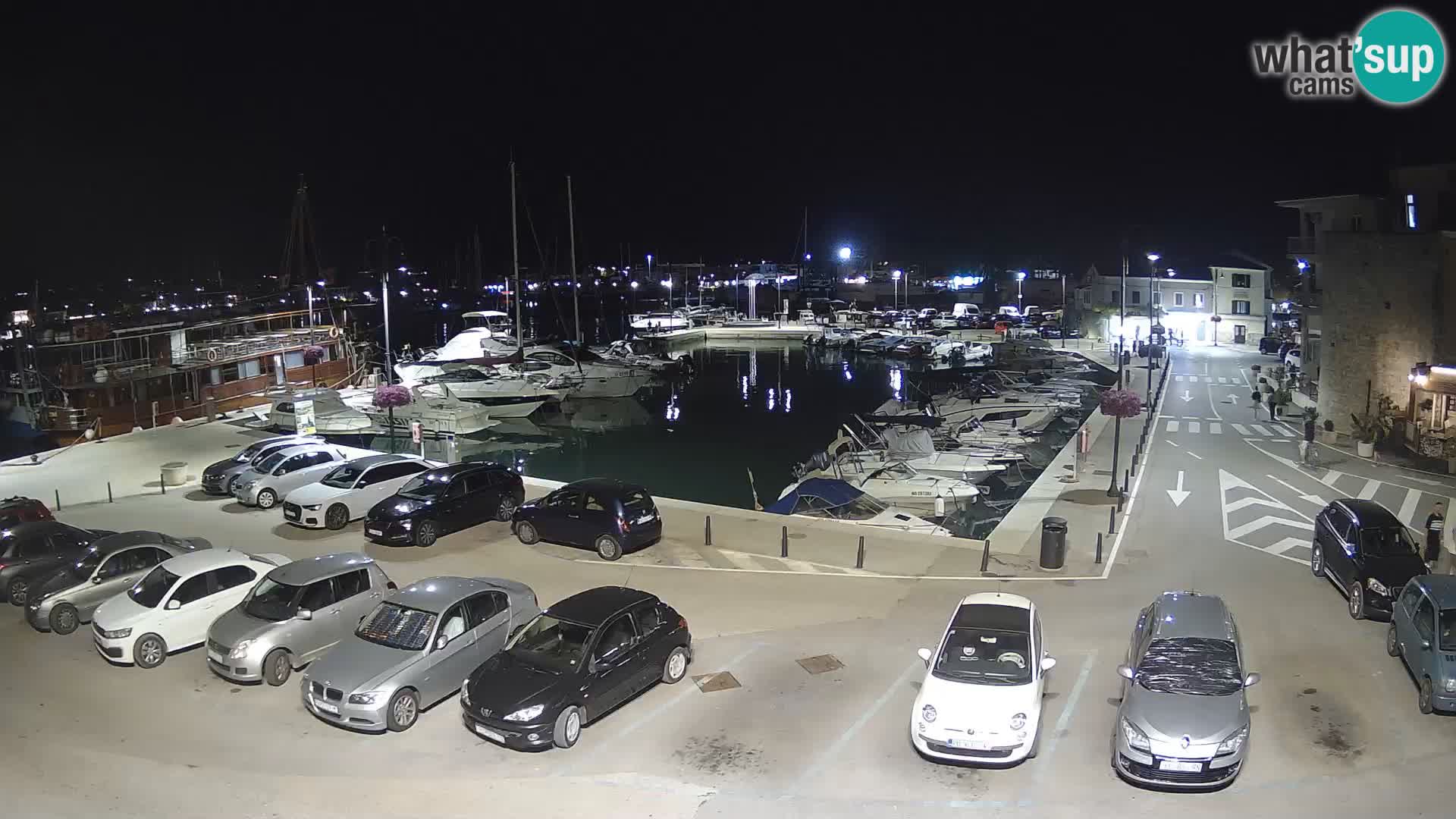 Novigrad | Porporela marina