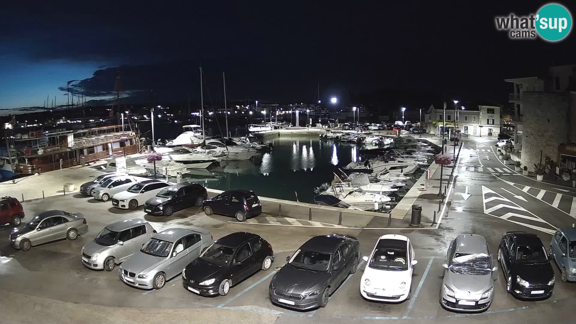 Novigrad | Porporela marina