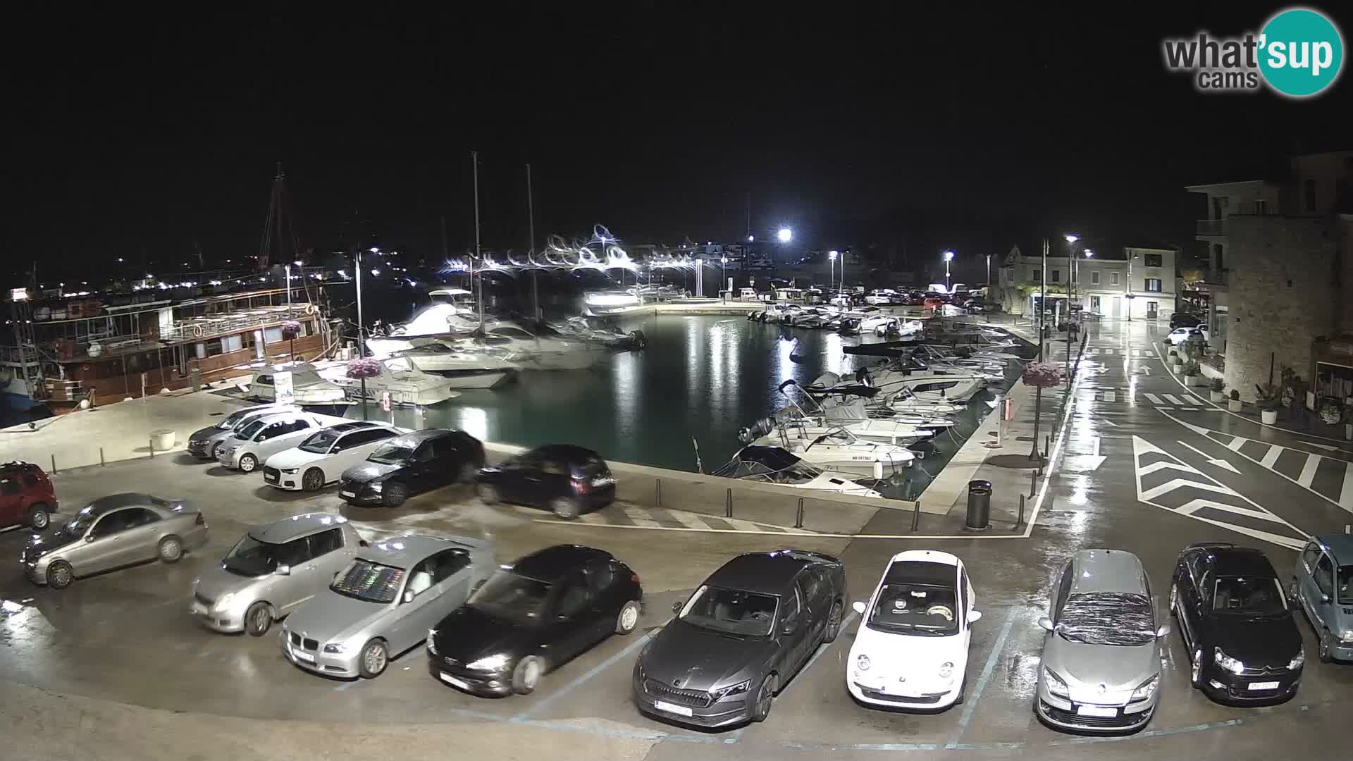 Novigrad | Porporela marina