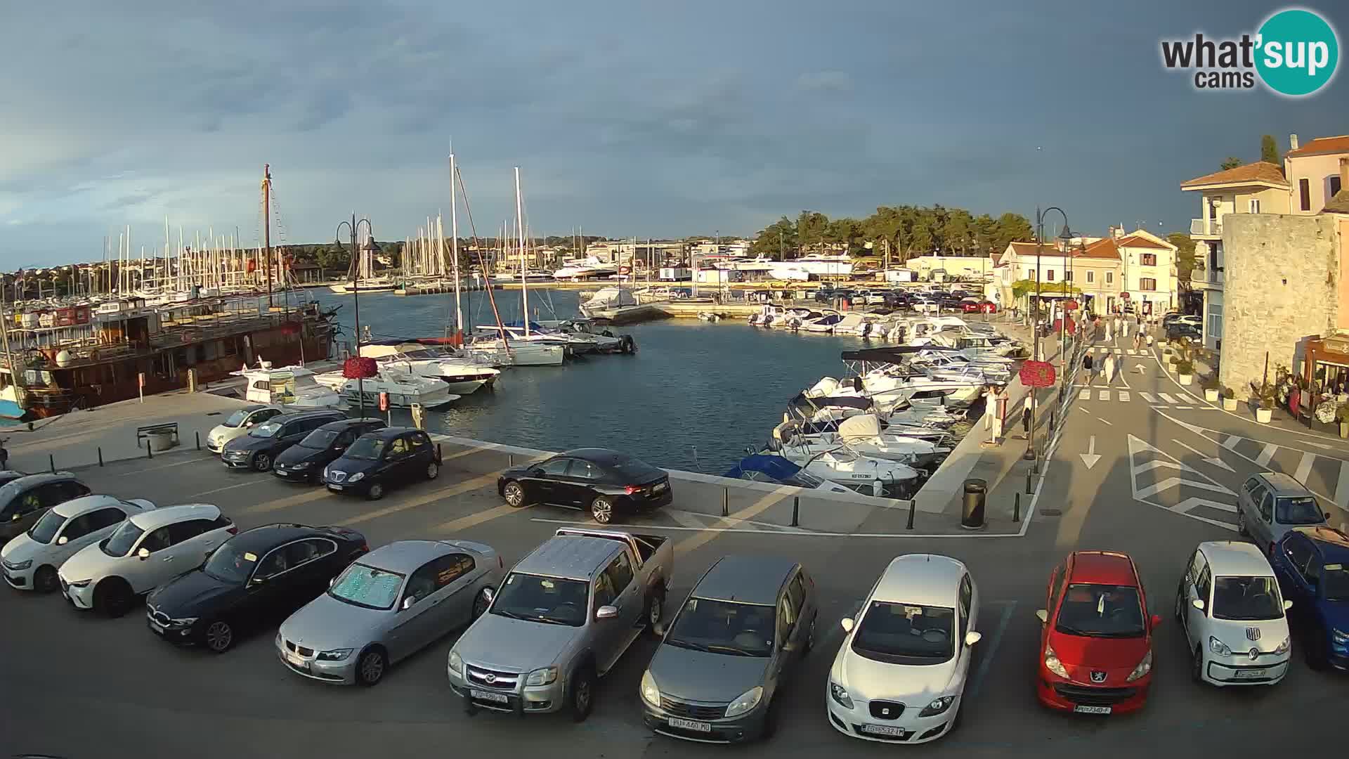 Novigrad | Porporela marina