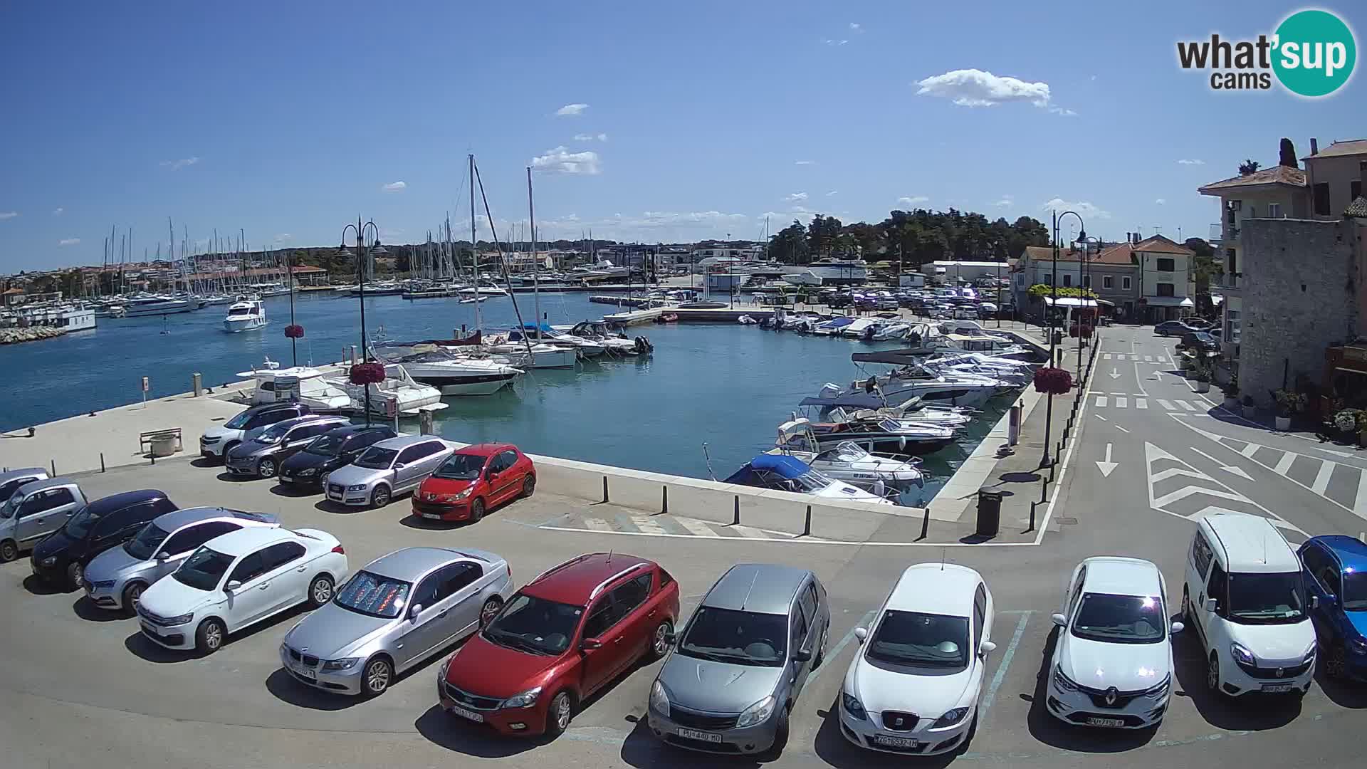 Novigrad | Porporela marina