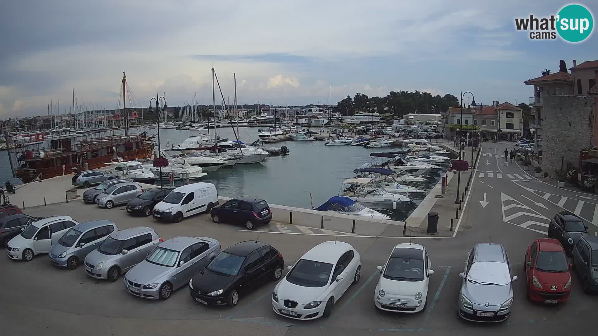 Novigrad | Porporela marina