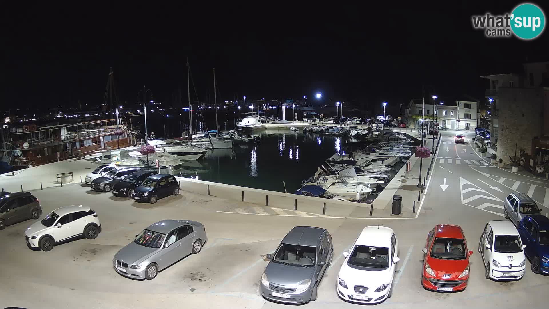 Novigrad | Porporela marina