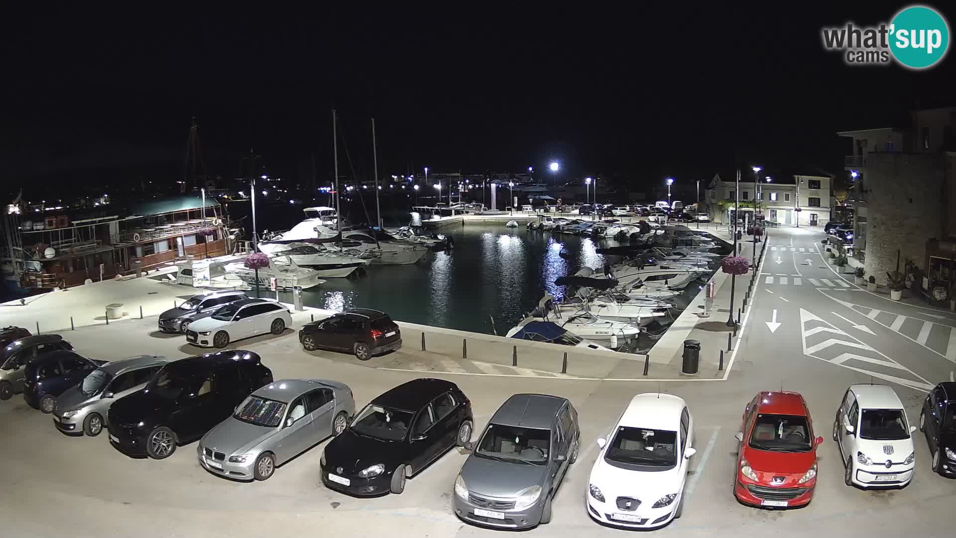 Novigrad | Porporela marina