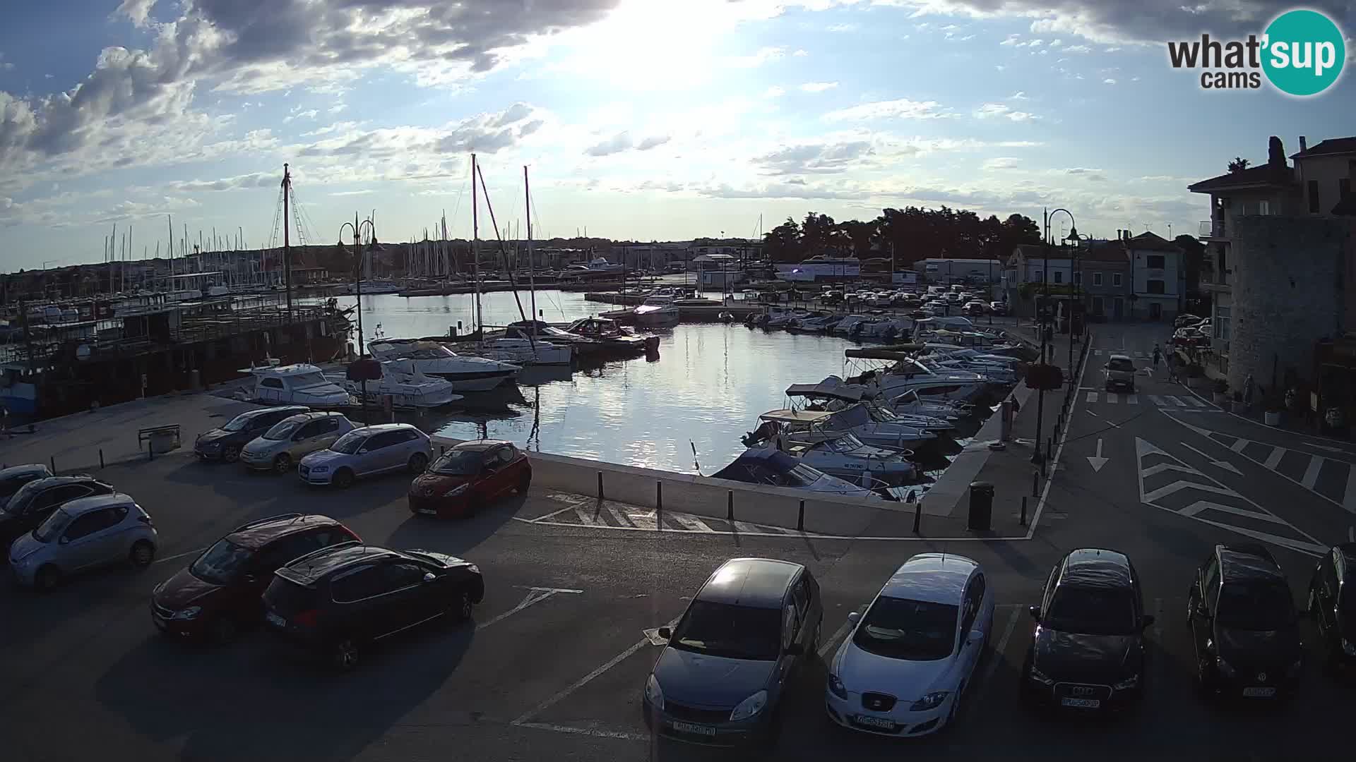 Novigrad | Porporela marina