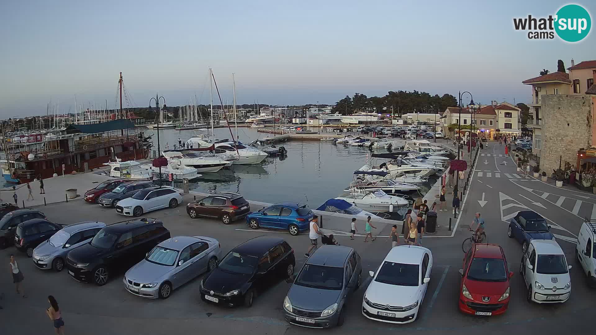 Novigrad | Porporela marina