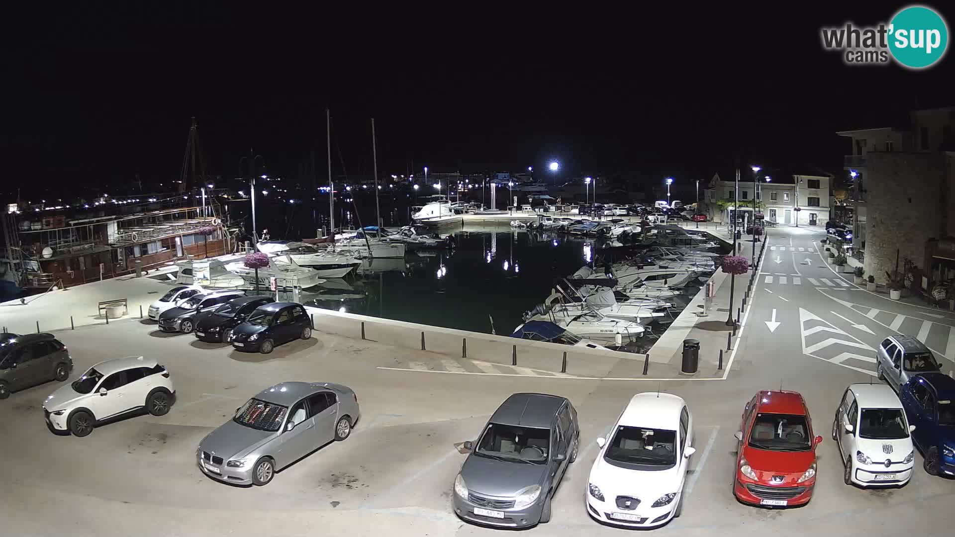 Novigrad | Porporela marina