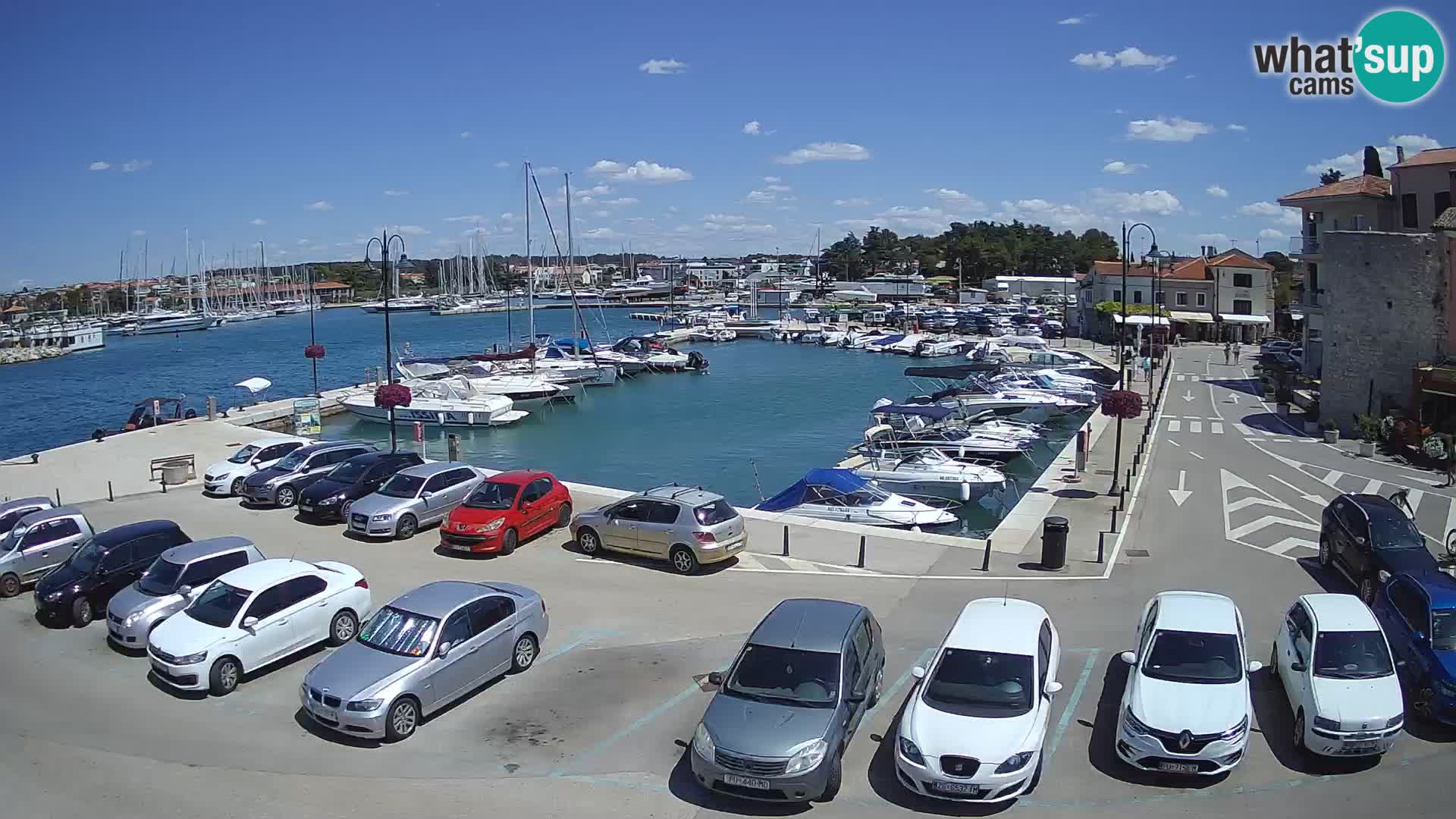 Novigrad | Porporela marina