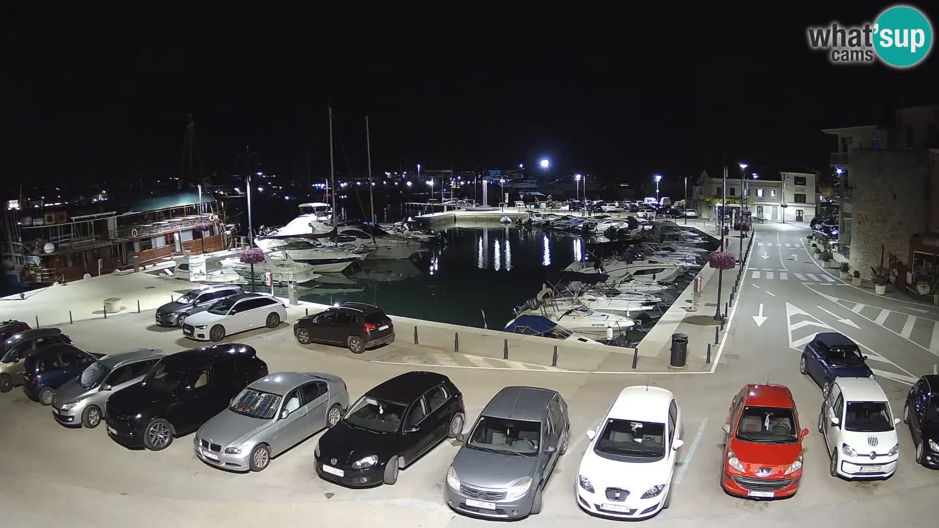 Novigrad | Porporela marina