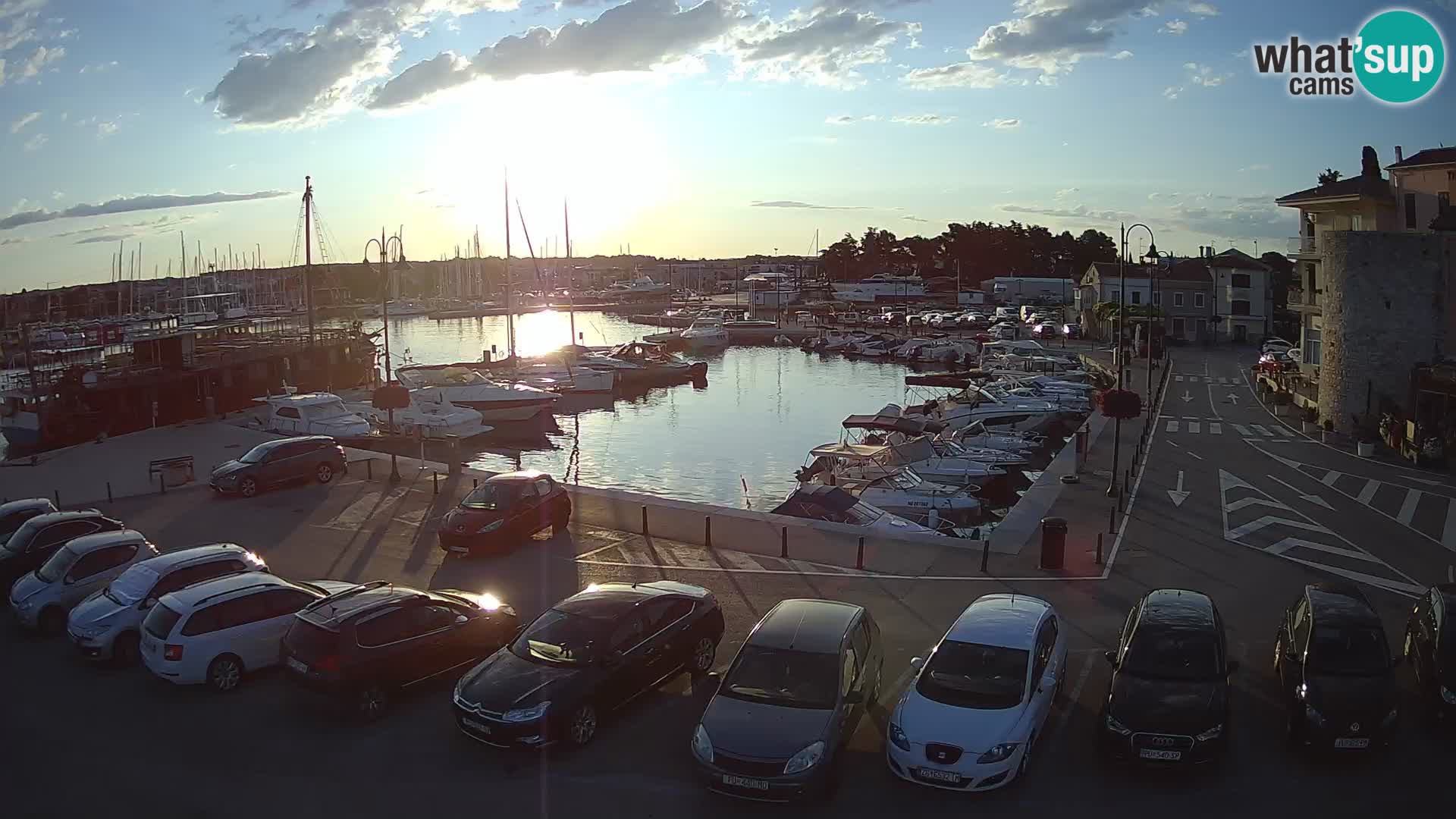 Novigrad | Porporela marina