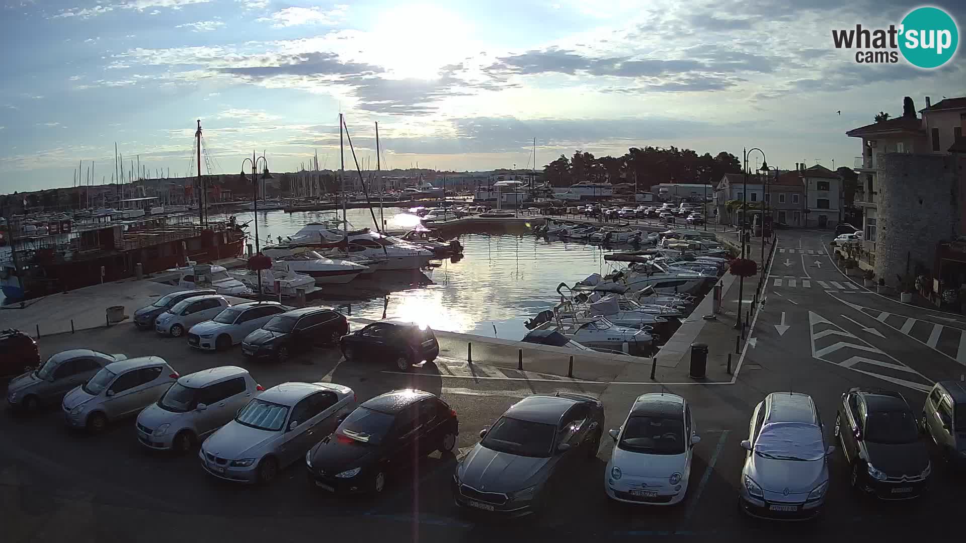 Novigrad | Porporela marina