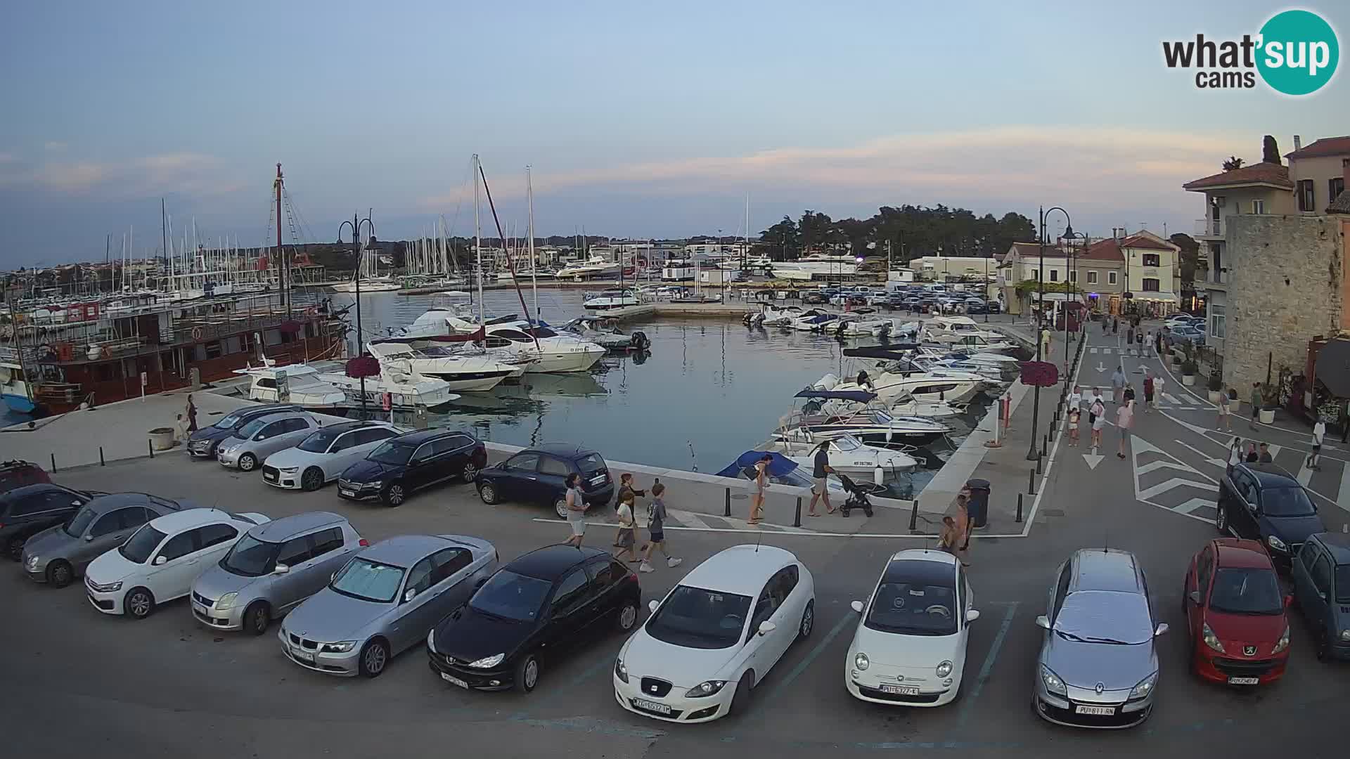 Novigrad | Porporela marina