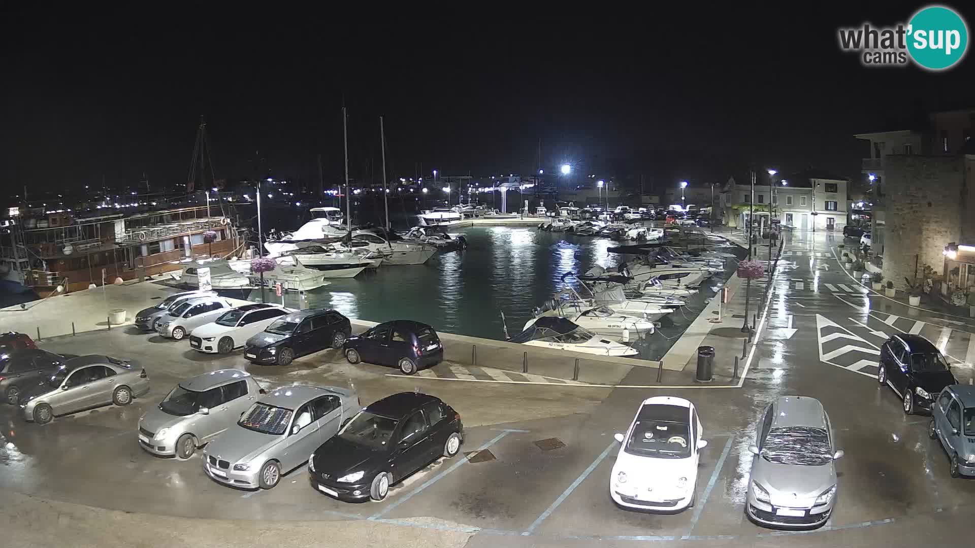 Novigrad | Porporela marina