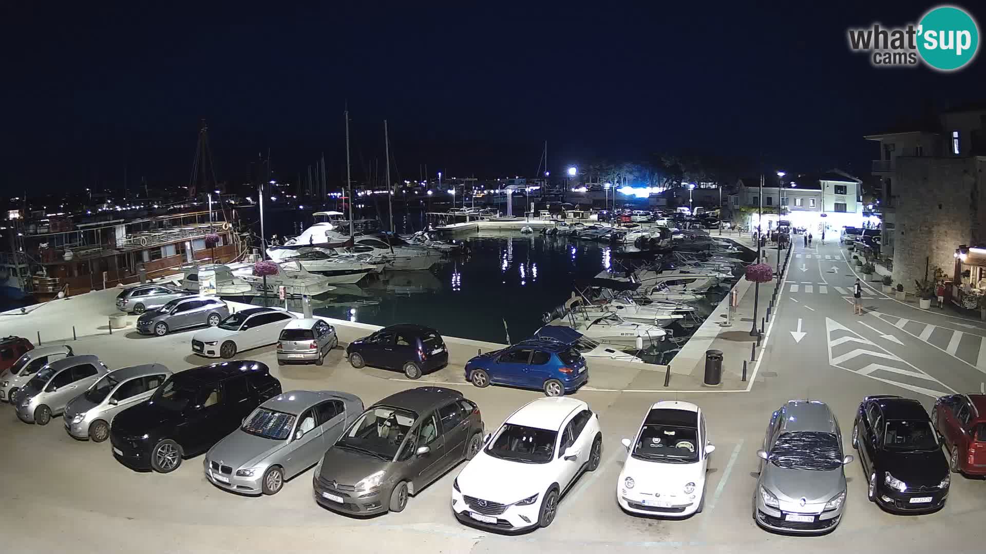 Novigrad | Porporela marina
