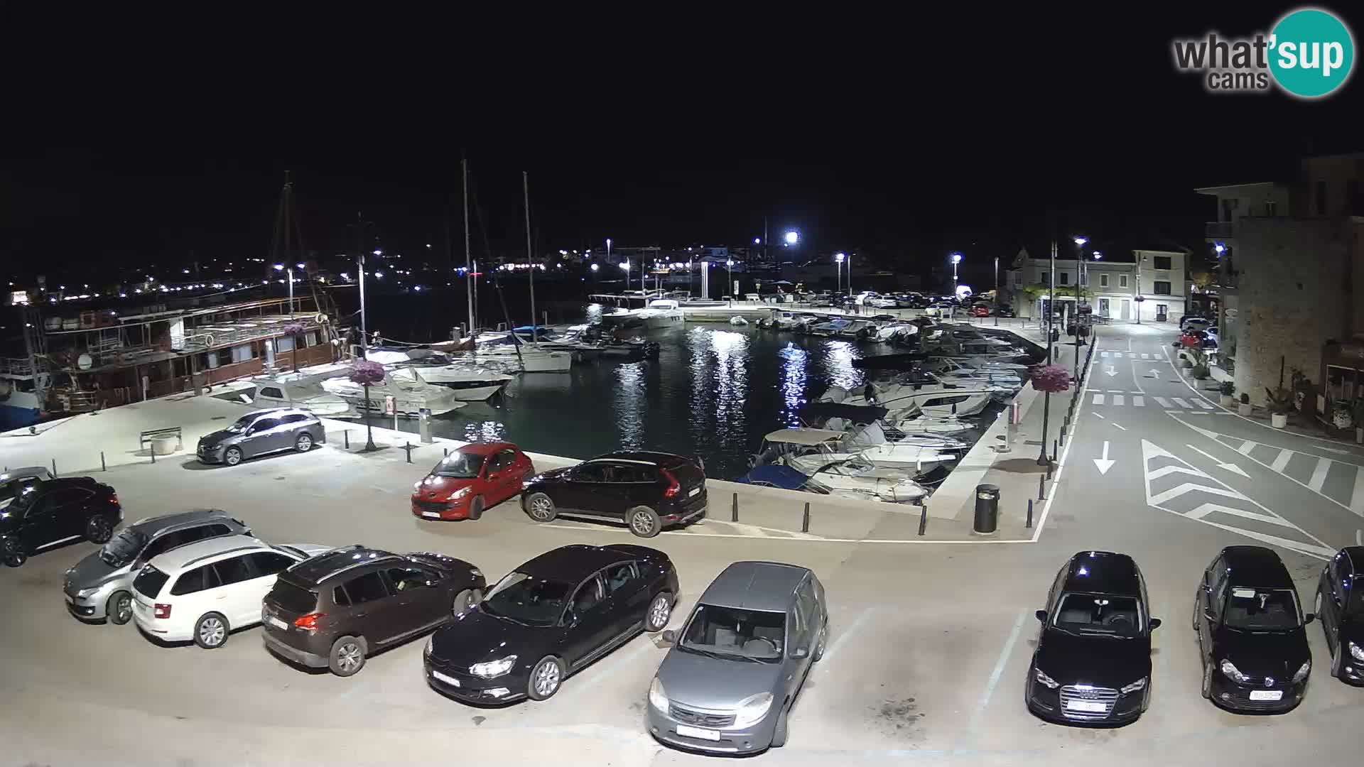 Novigrad | Porporela marina