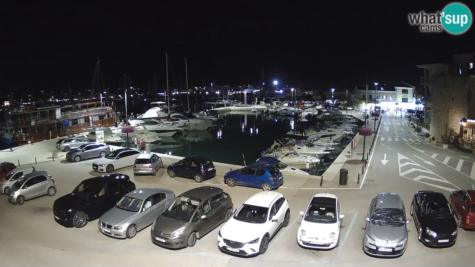 Novigrad | Porporela marina