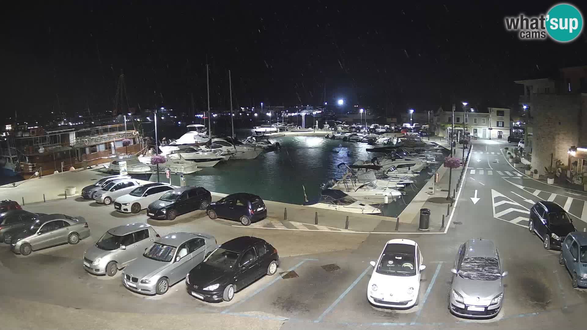 Novigrad | Porporela marina