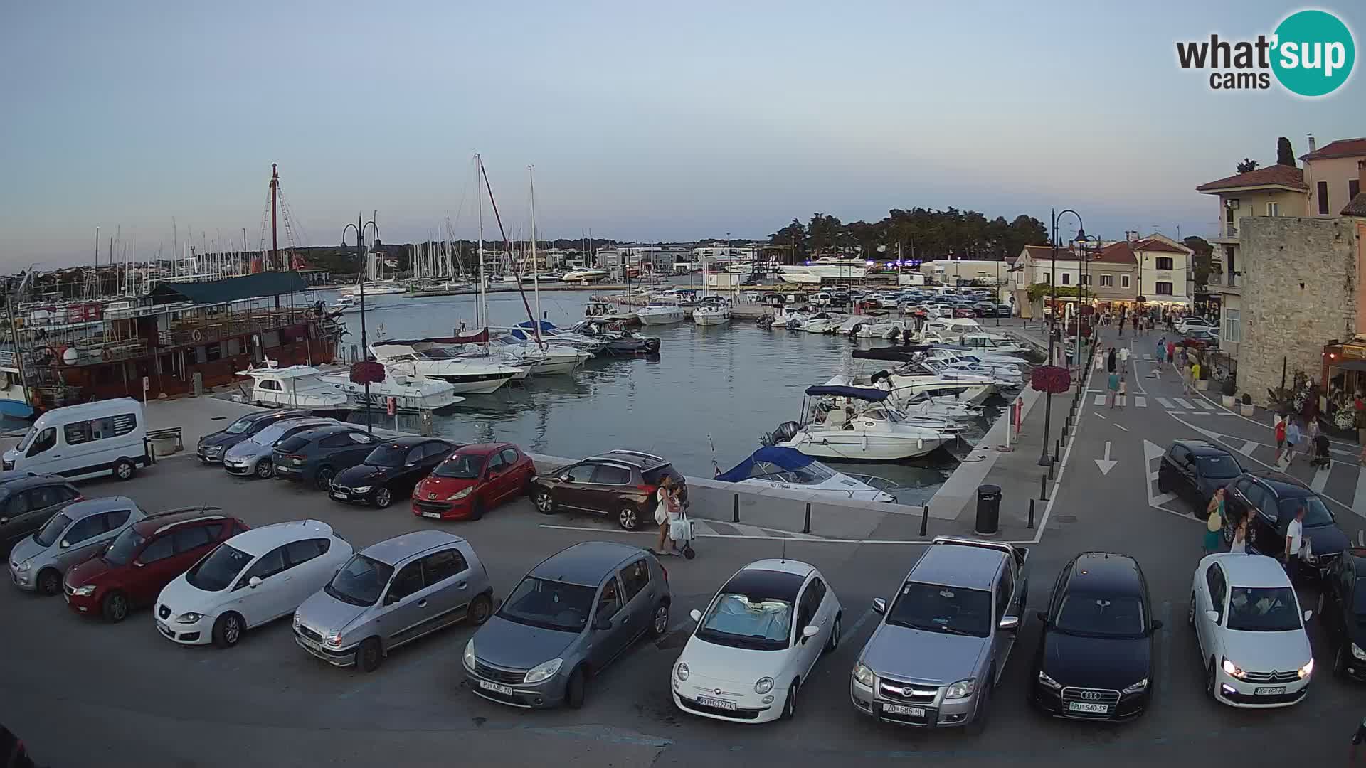 Novigrad | Porporela marina