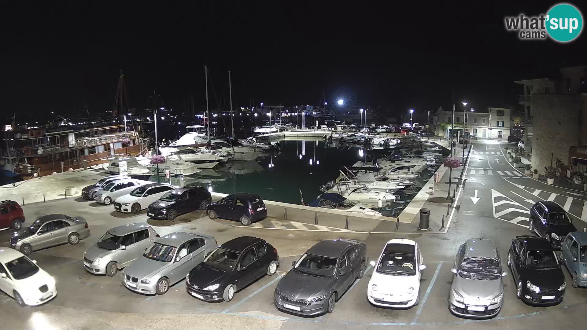 Novigrad | Porporela marina