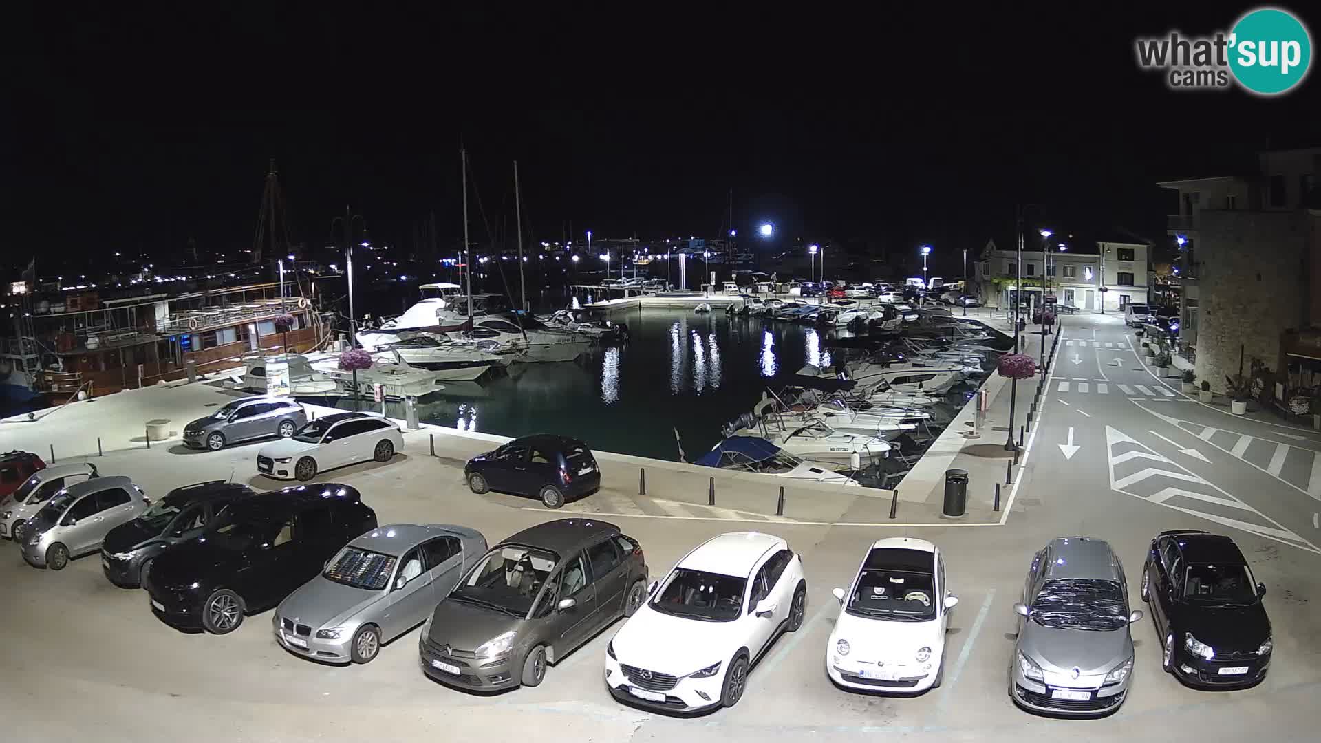 Novigrad | Porporela marina