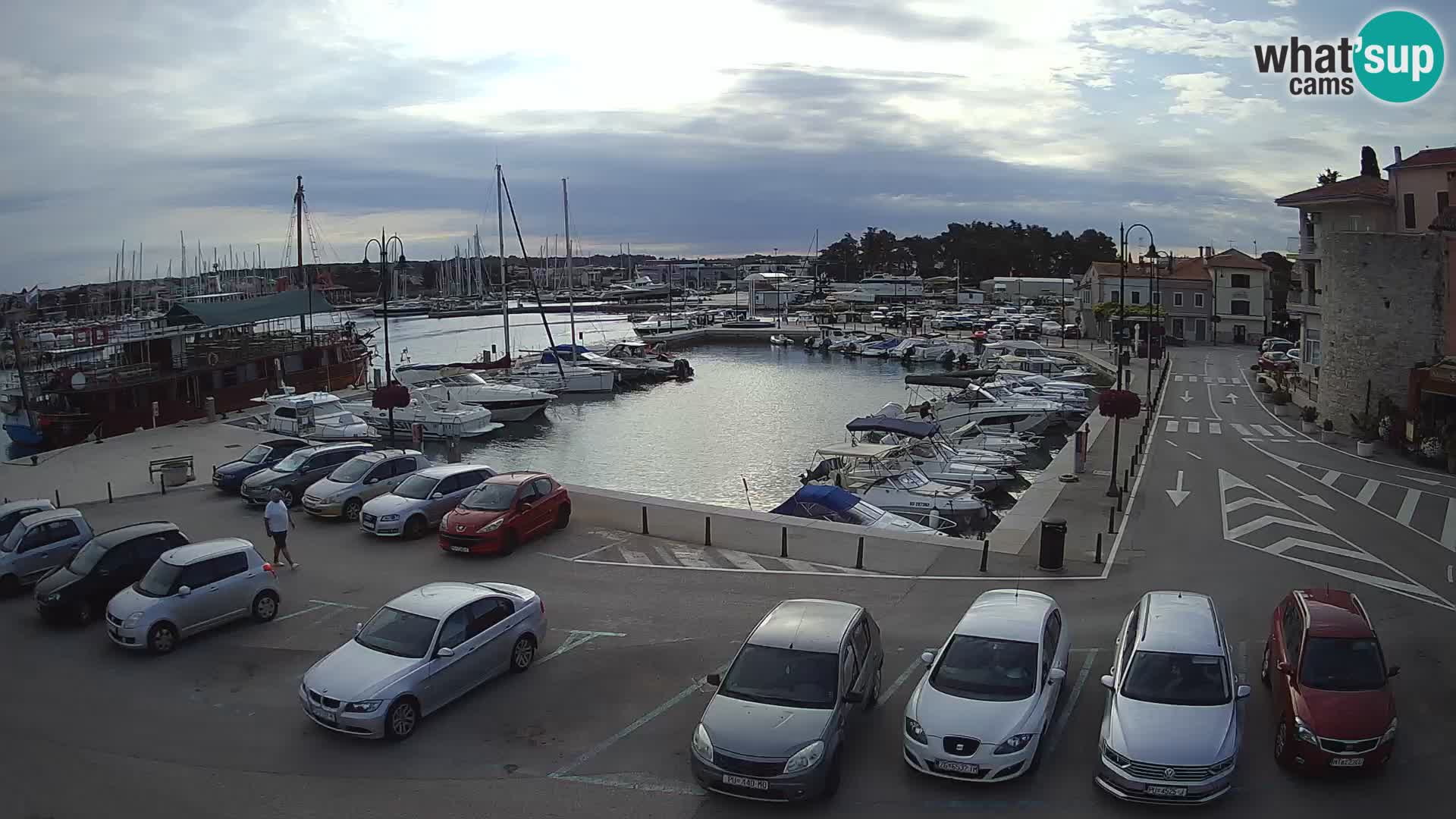 Novigrad | Porporela marina