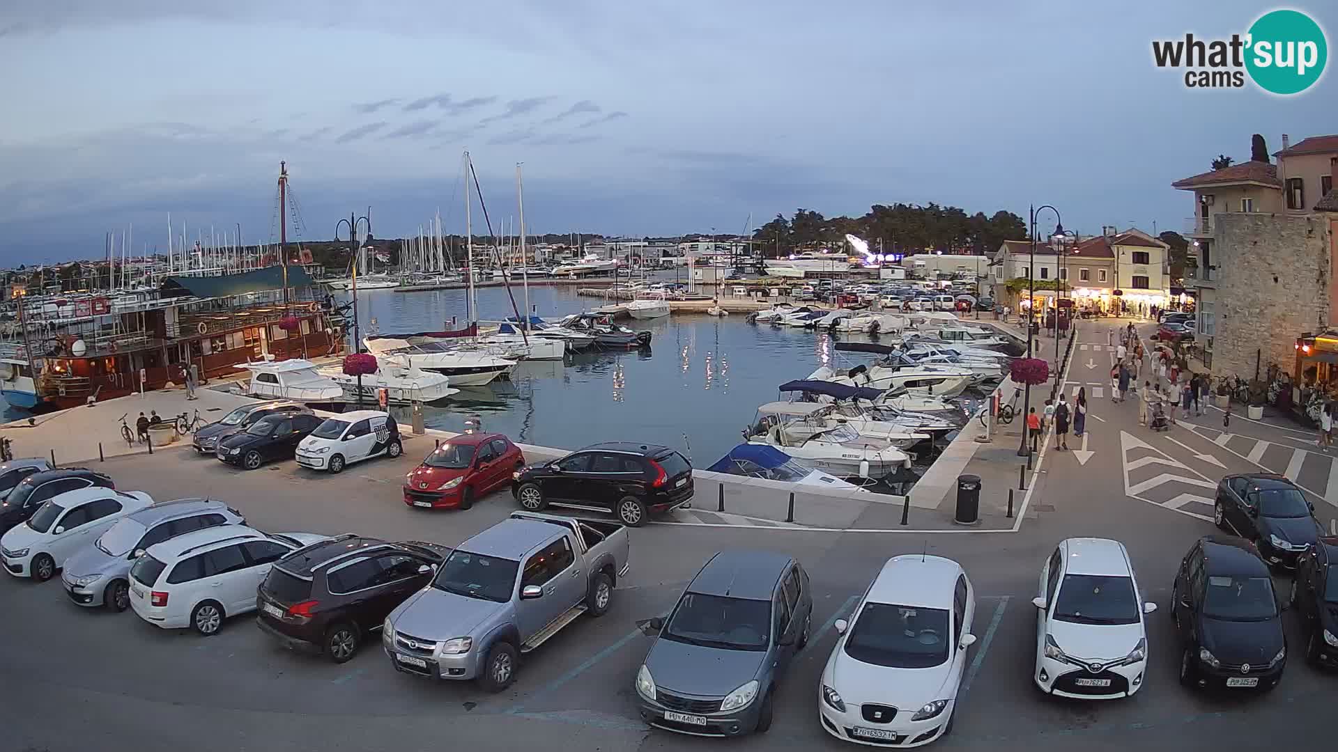 Novigrad | Porporela marina