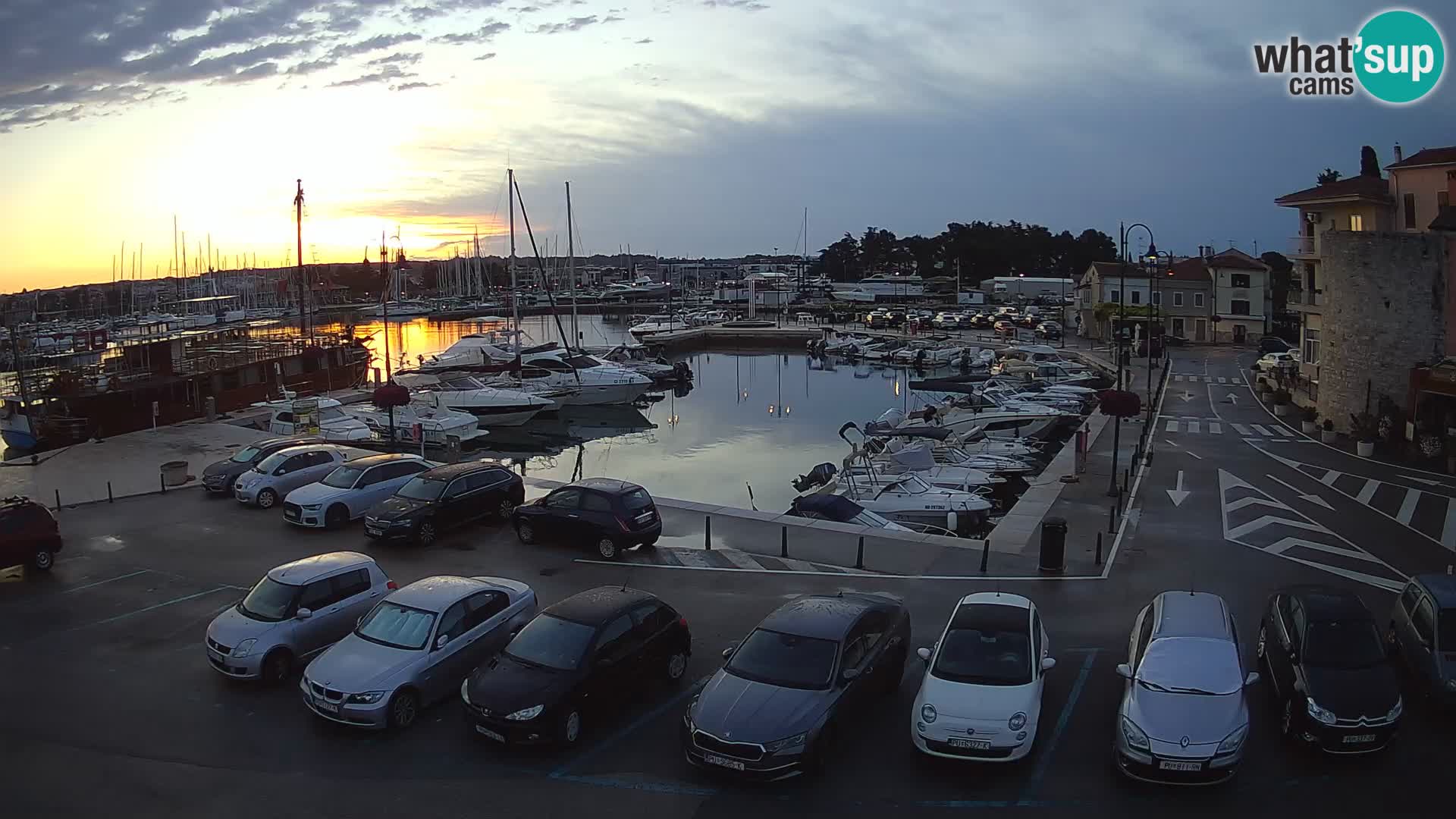 Novigrad | Porporela marina