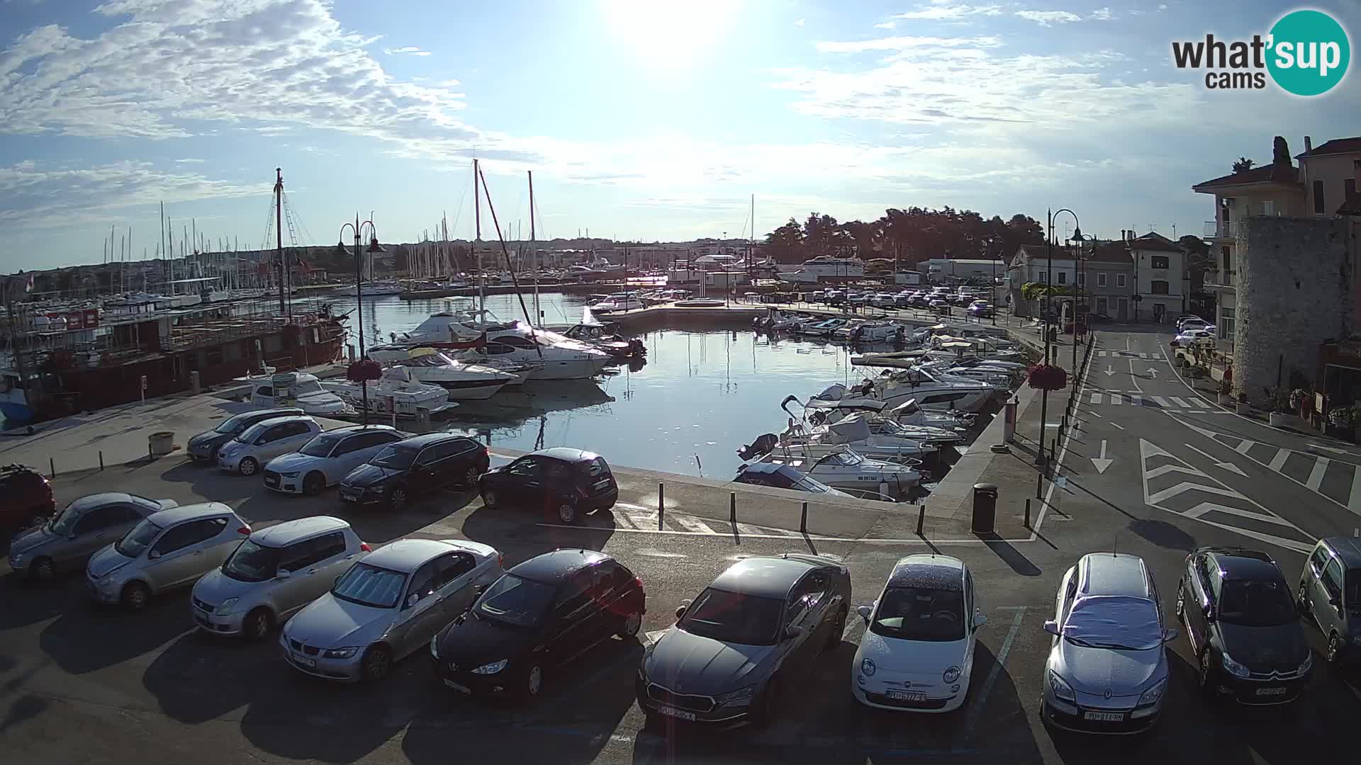 Novigrad | Porporela marina