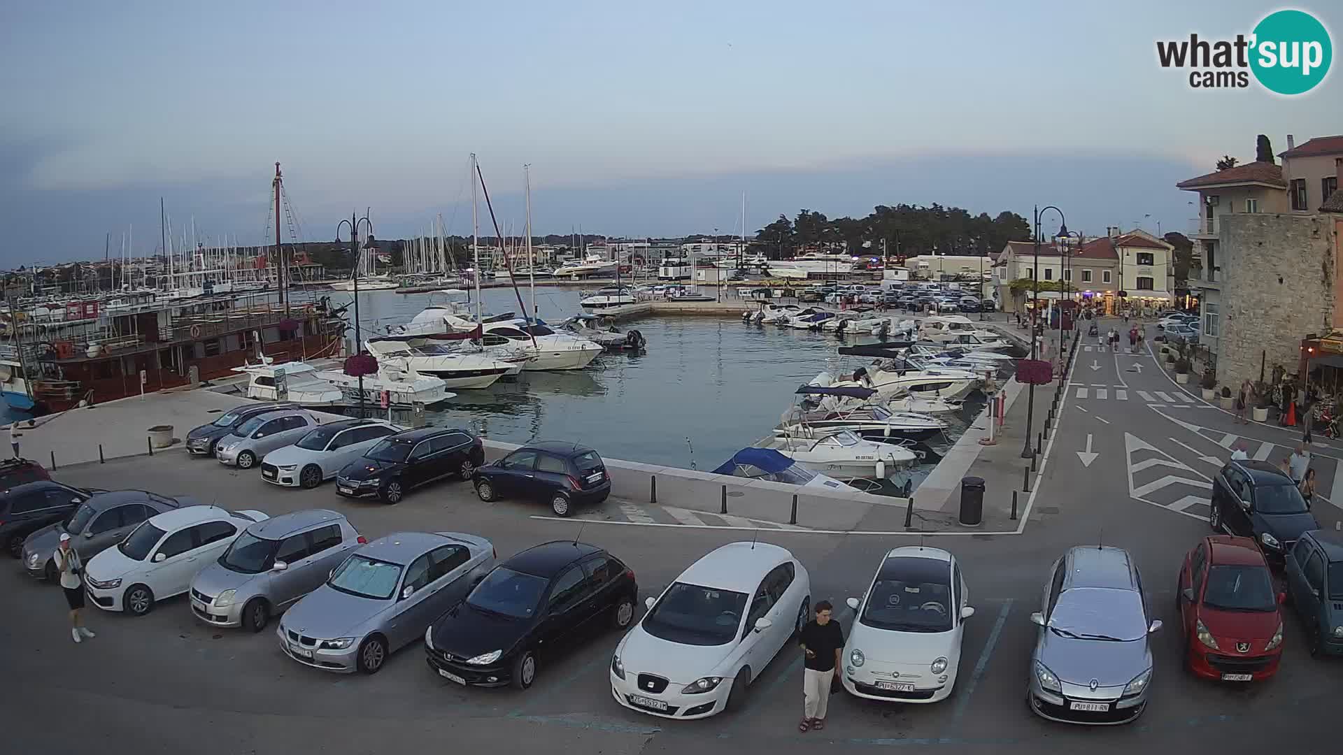 Novigrad | Porporela marina