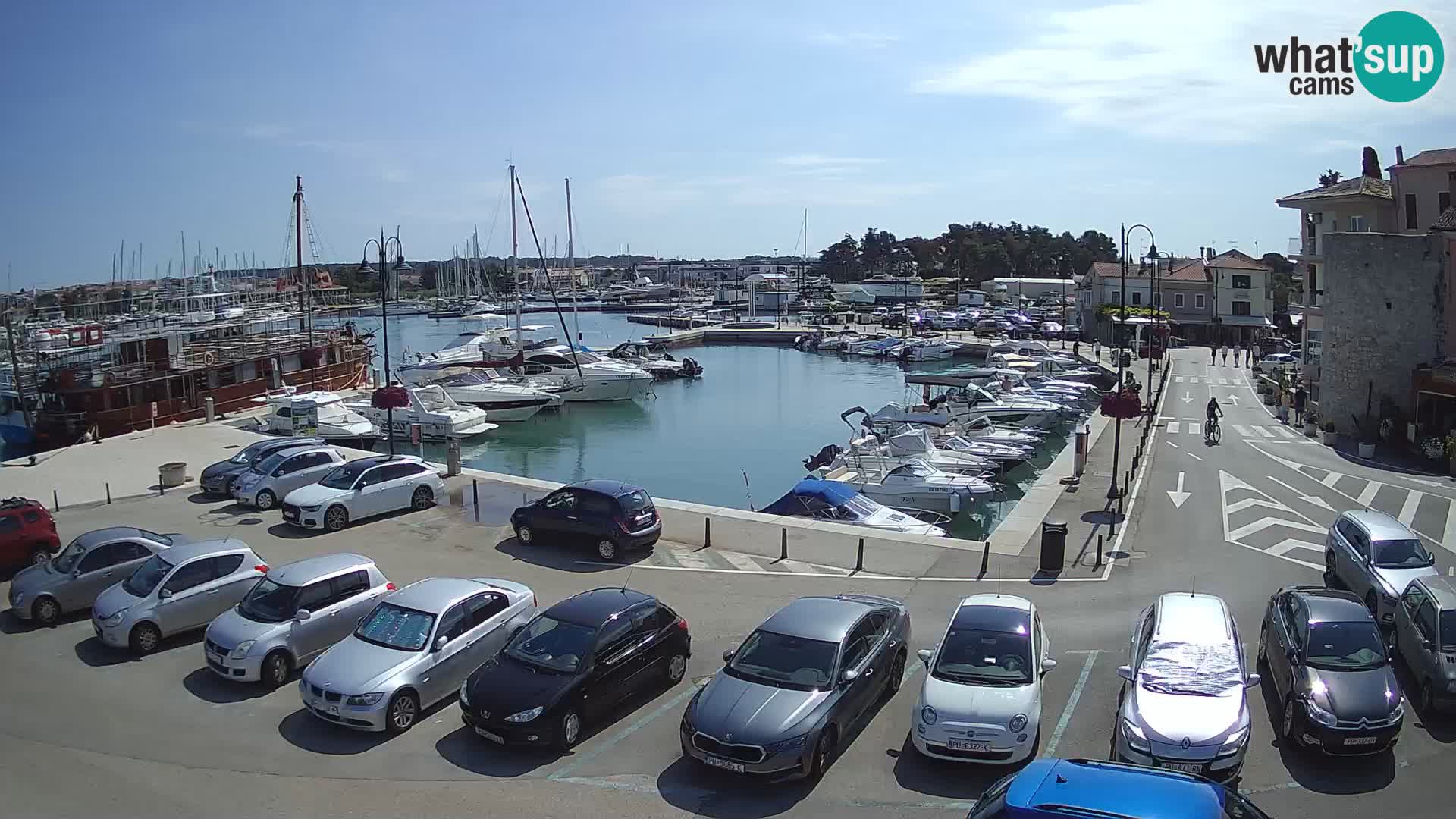 Novigrad | Porporela marina