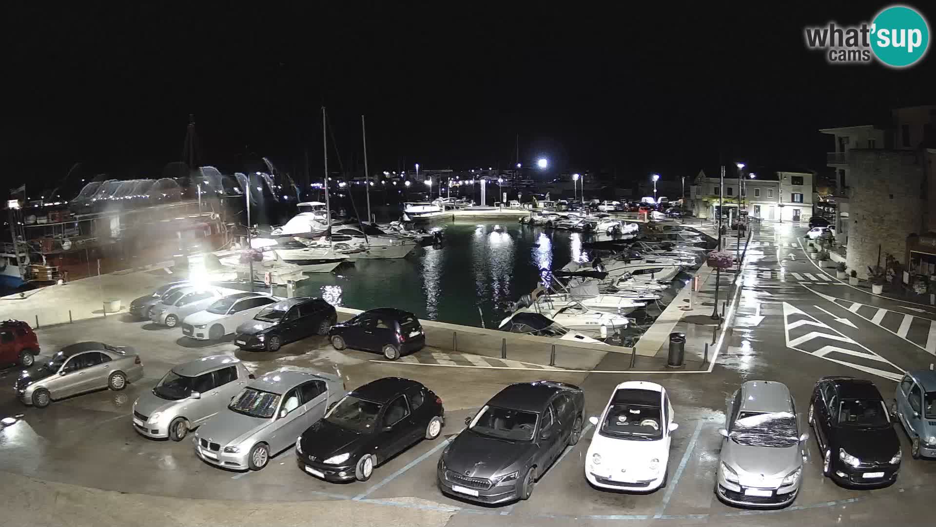 Novigrad | Porporela marina